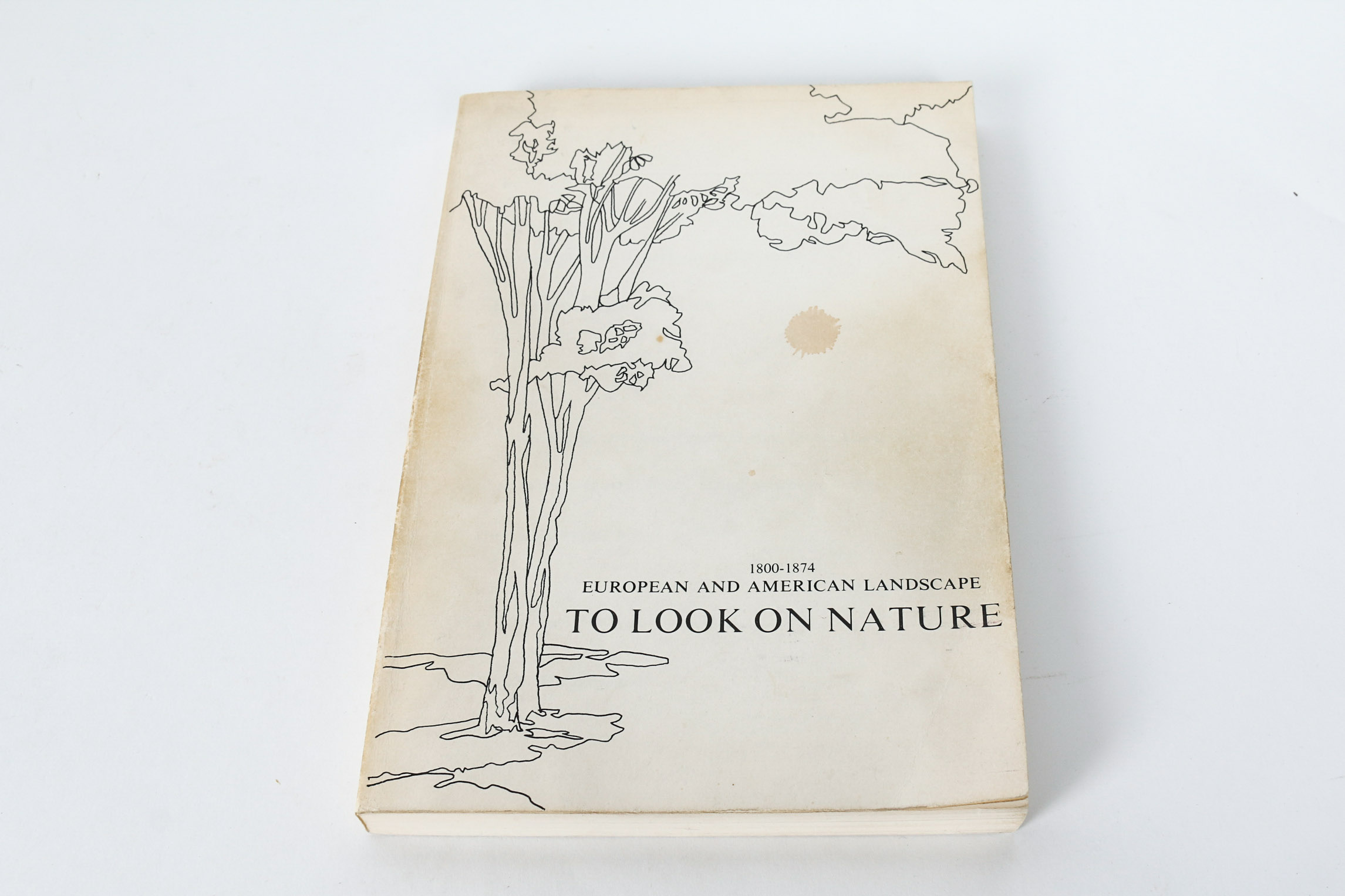 Collection of Art Books