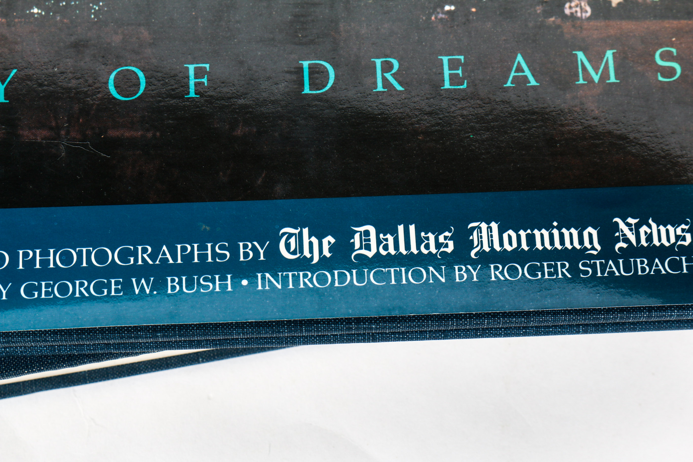 Collection of Texas Themed Books