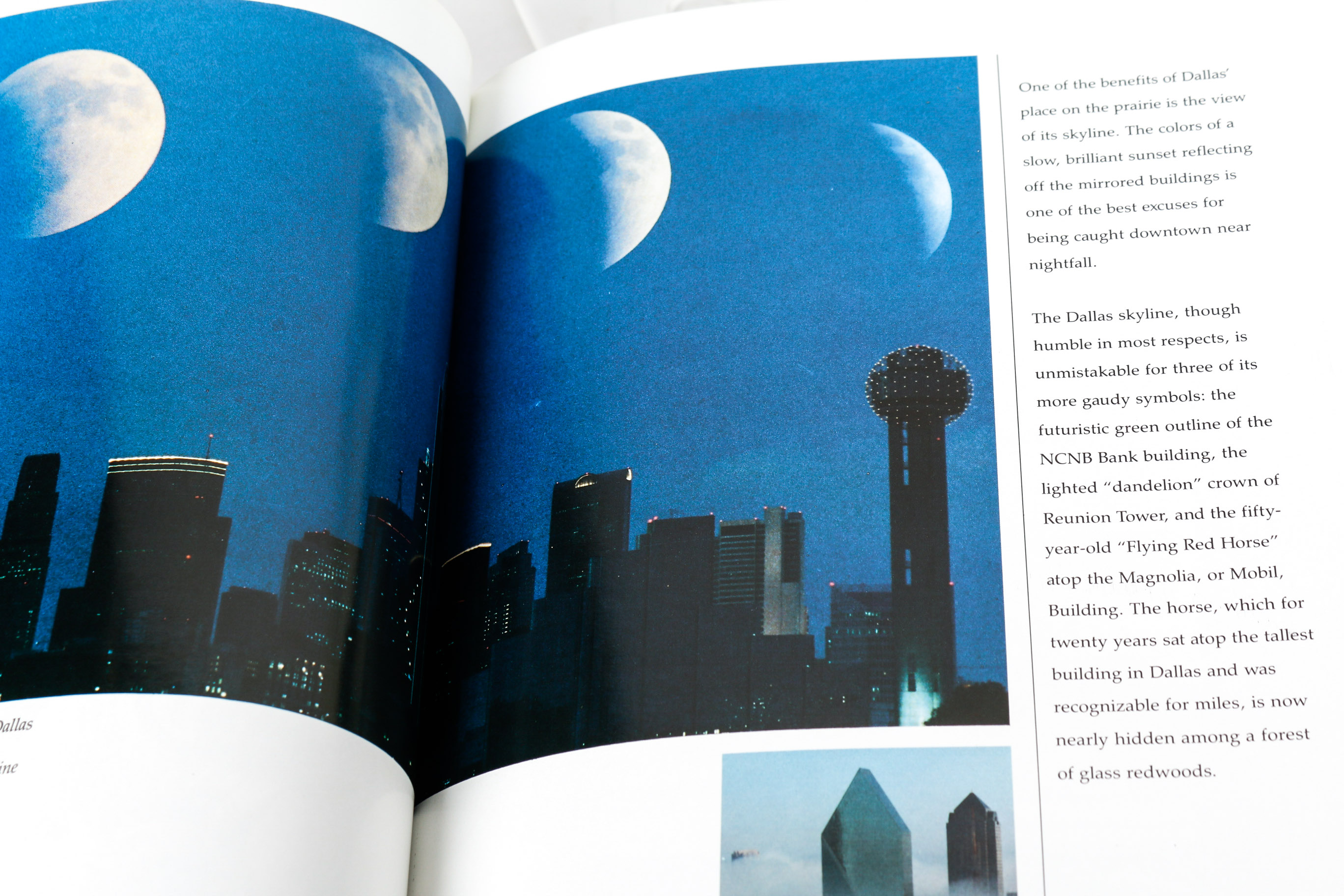 Collection of Texas Themed Books