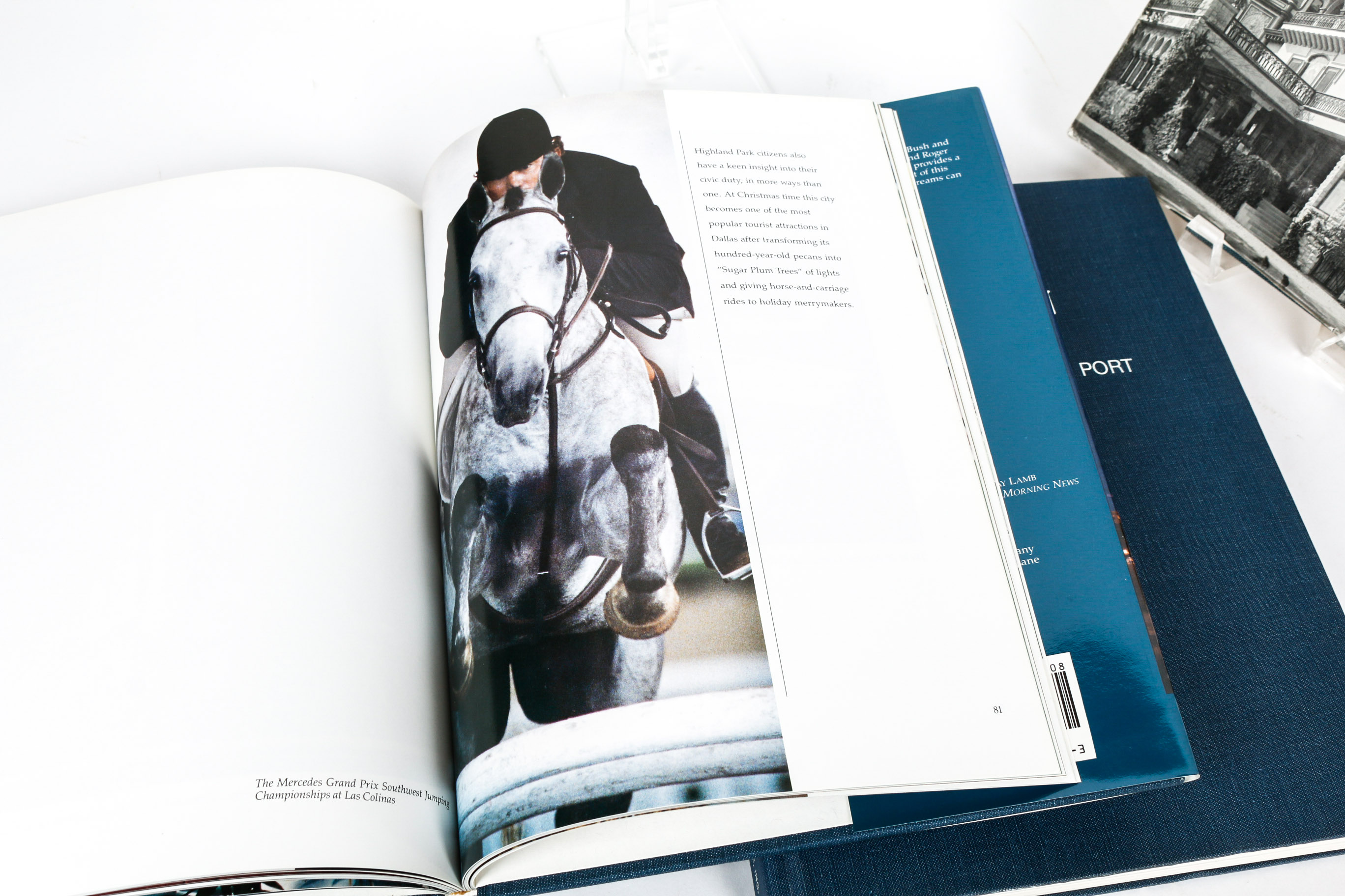 Collection of Texas Themed Books