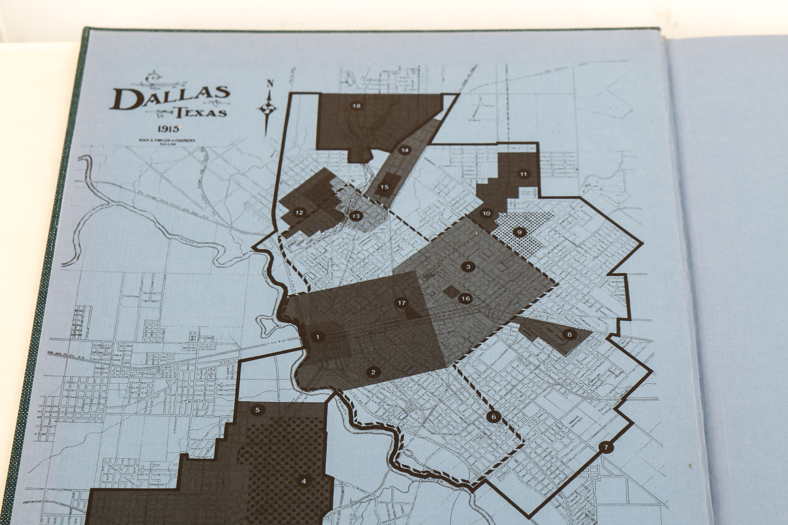 Collection of Texas Themed Books