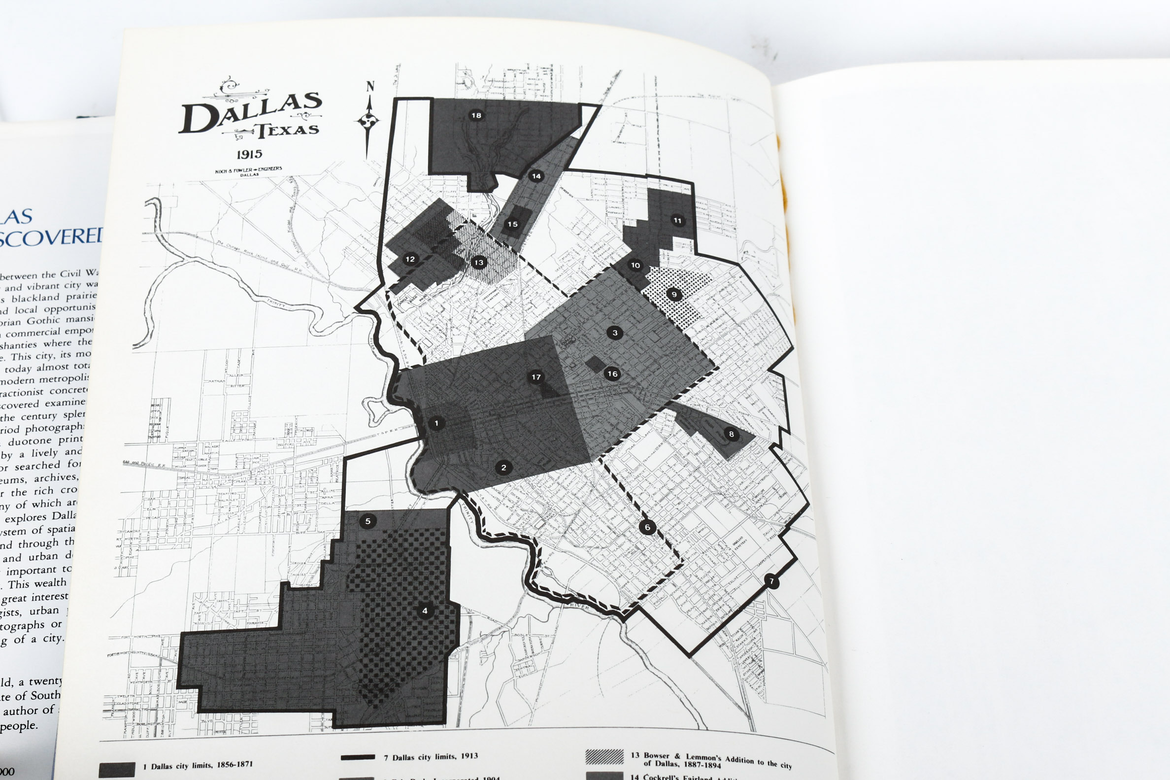 Collection of Texas Themed Books