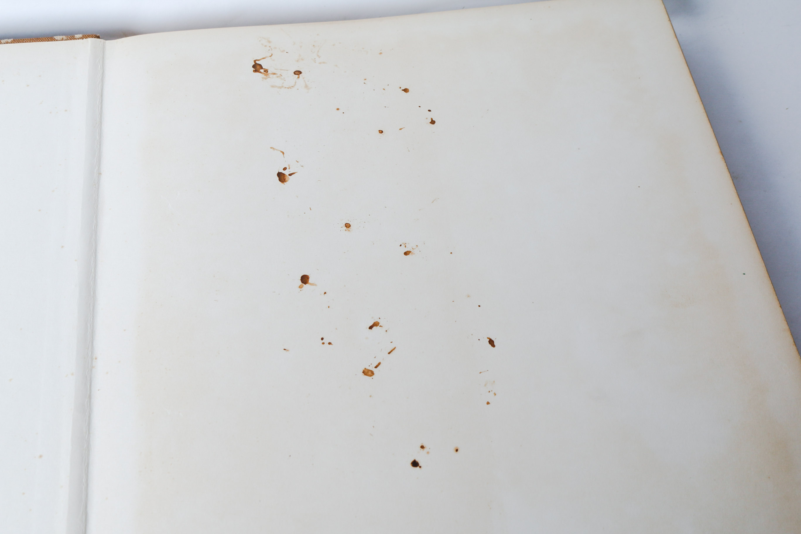 Collection of Italian Art Books