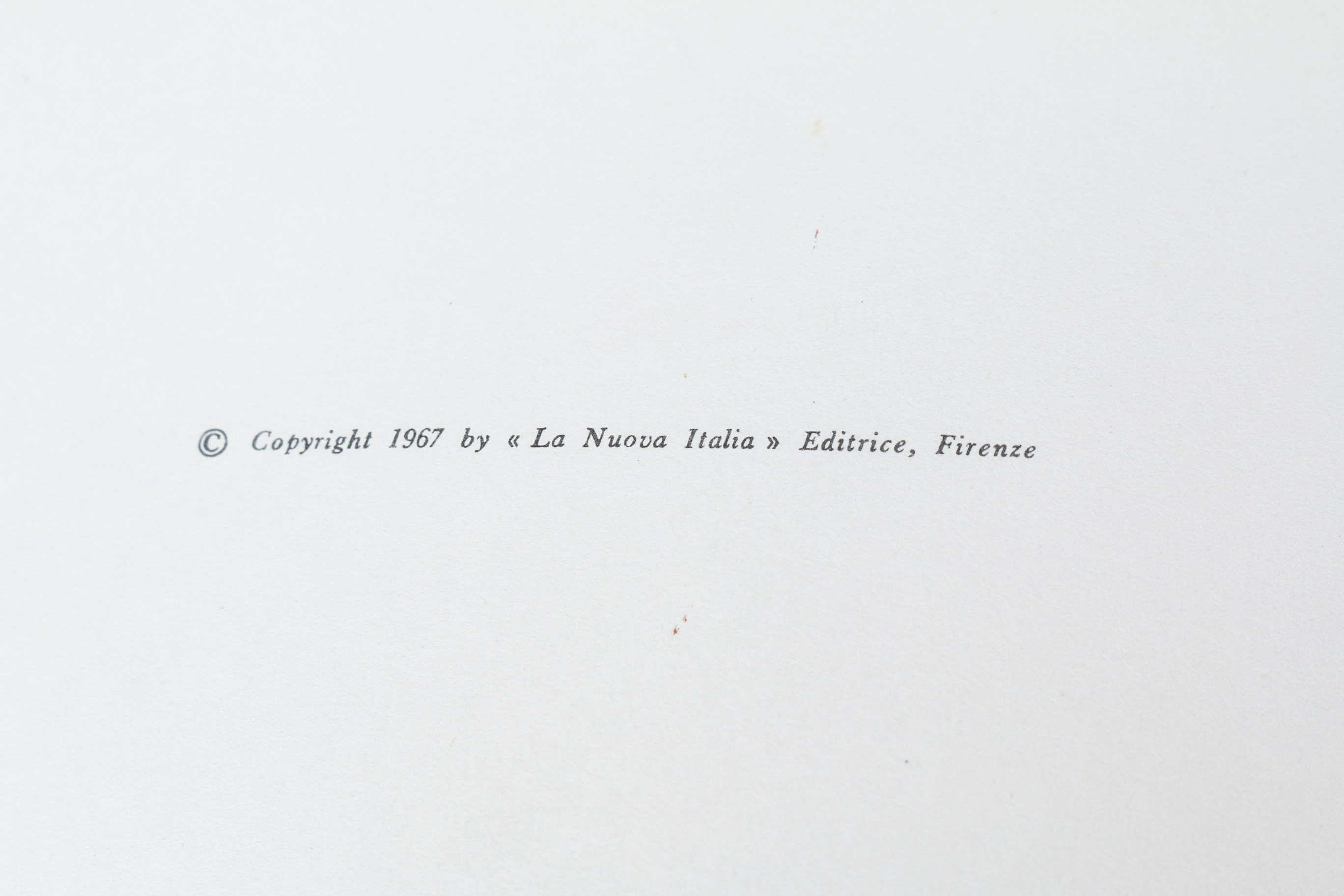 Collection of Italian Art Books