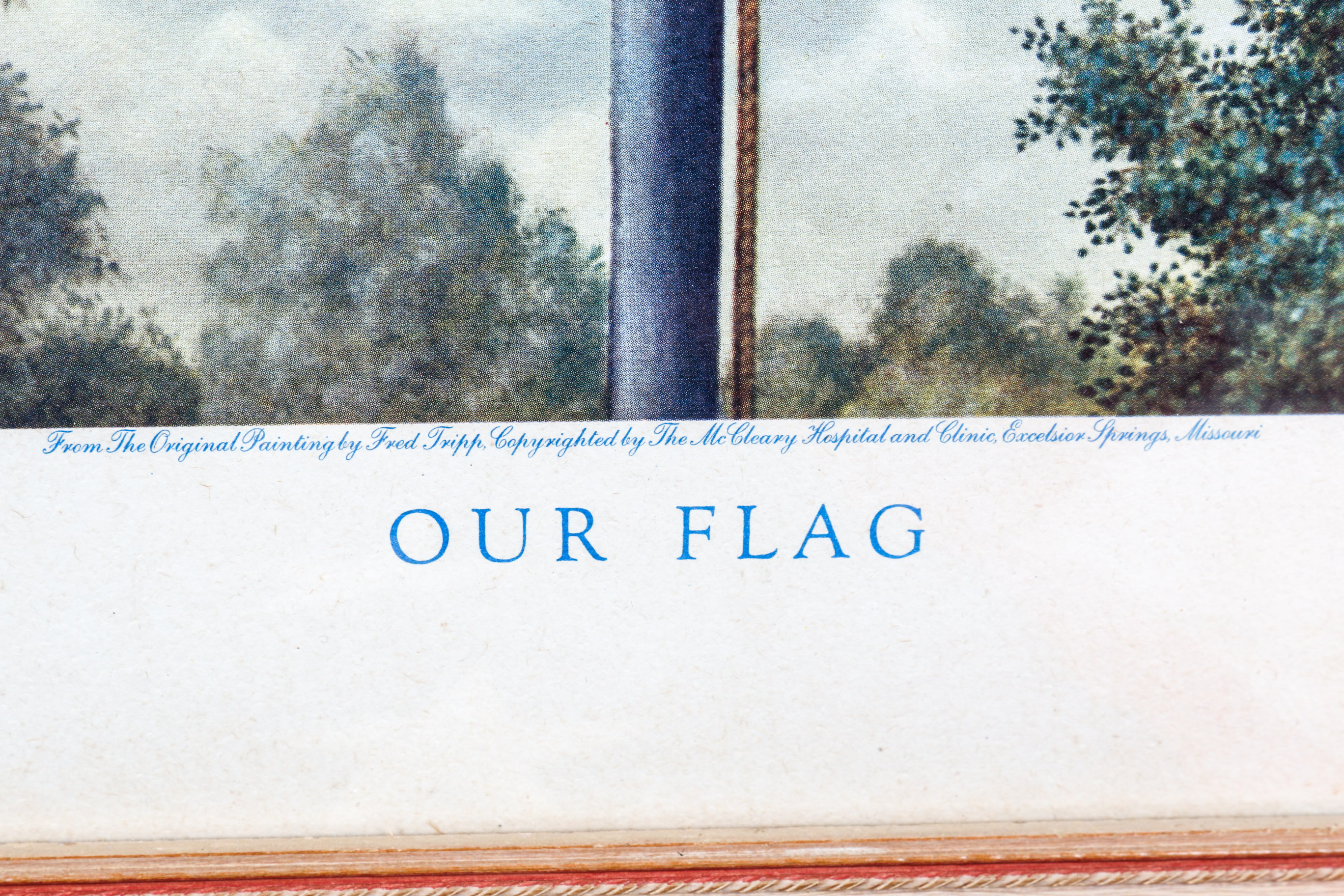 Vintage American Flag and Framed Print