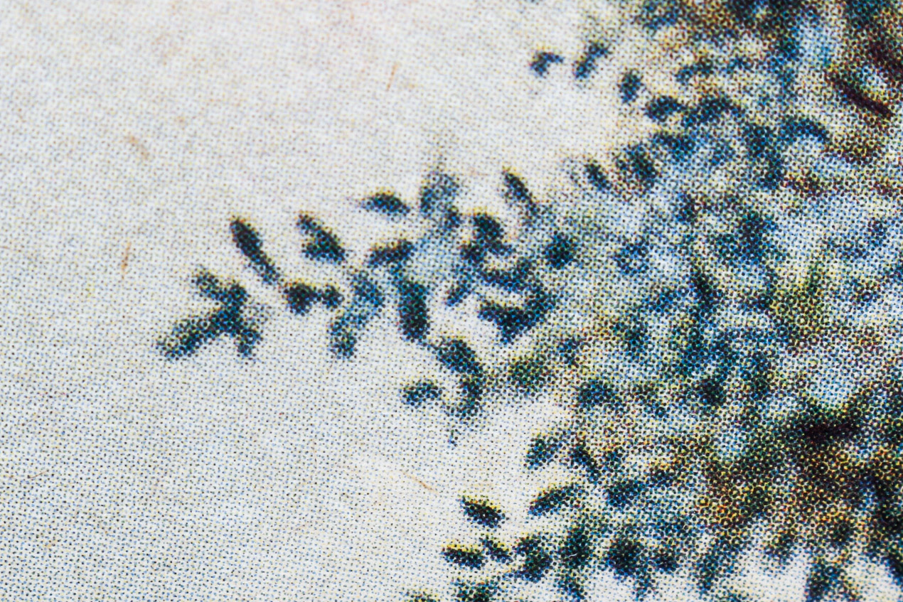 Vintage American Flag and Framed Print