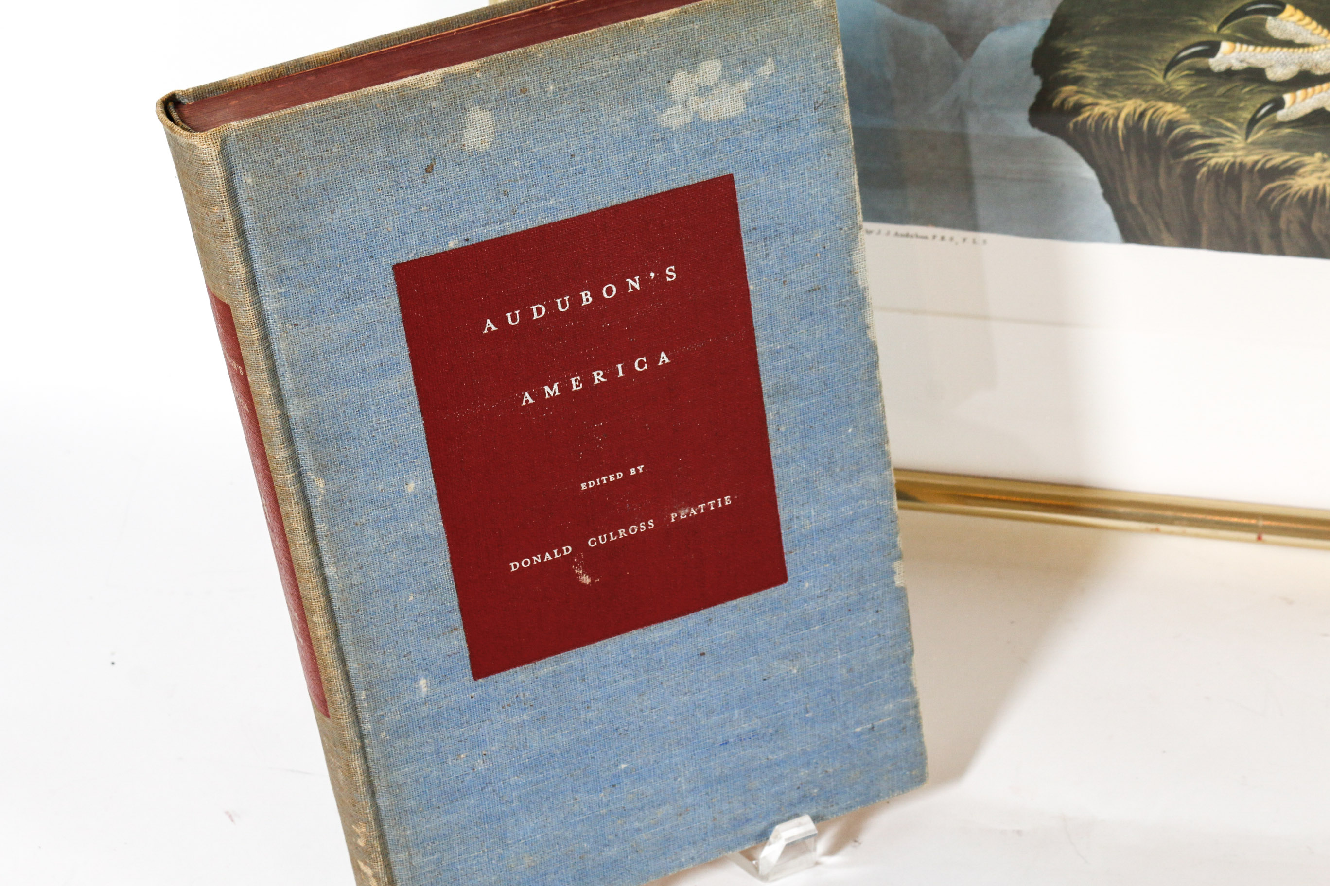 Audobon Bird Print with Book