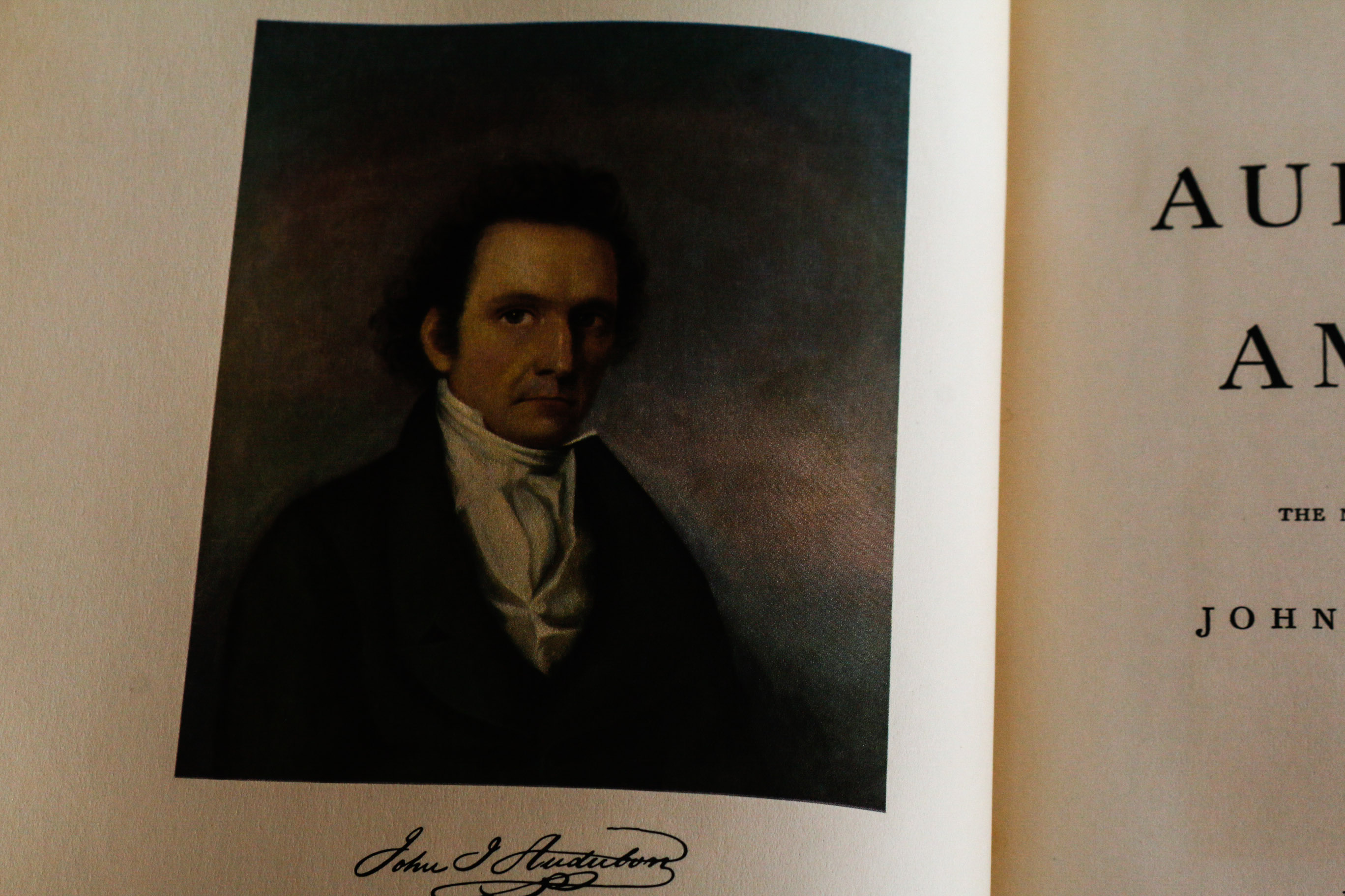 Audobon Bird Print with Book