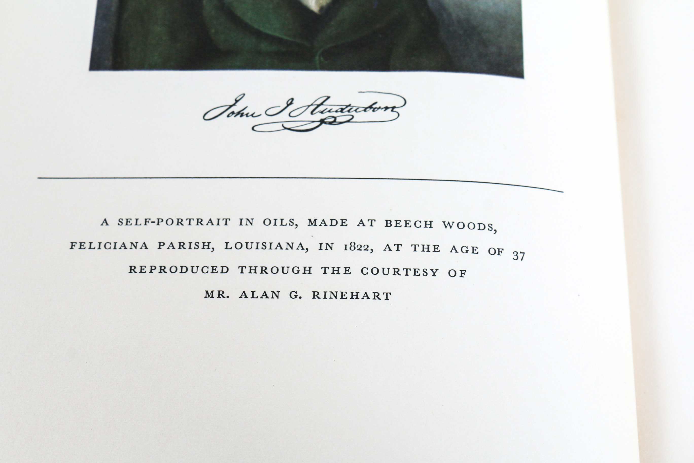 Audobon Bird Print with Book