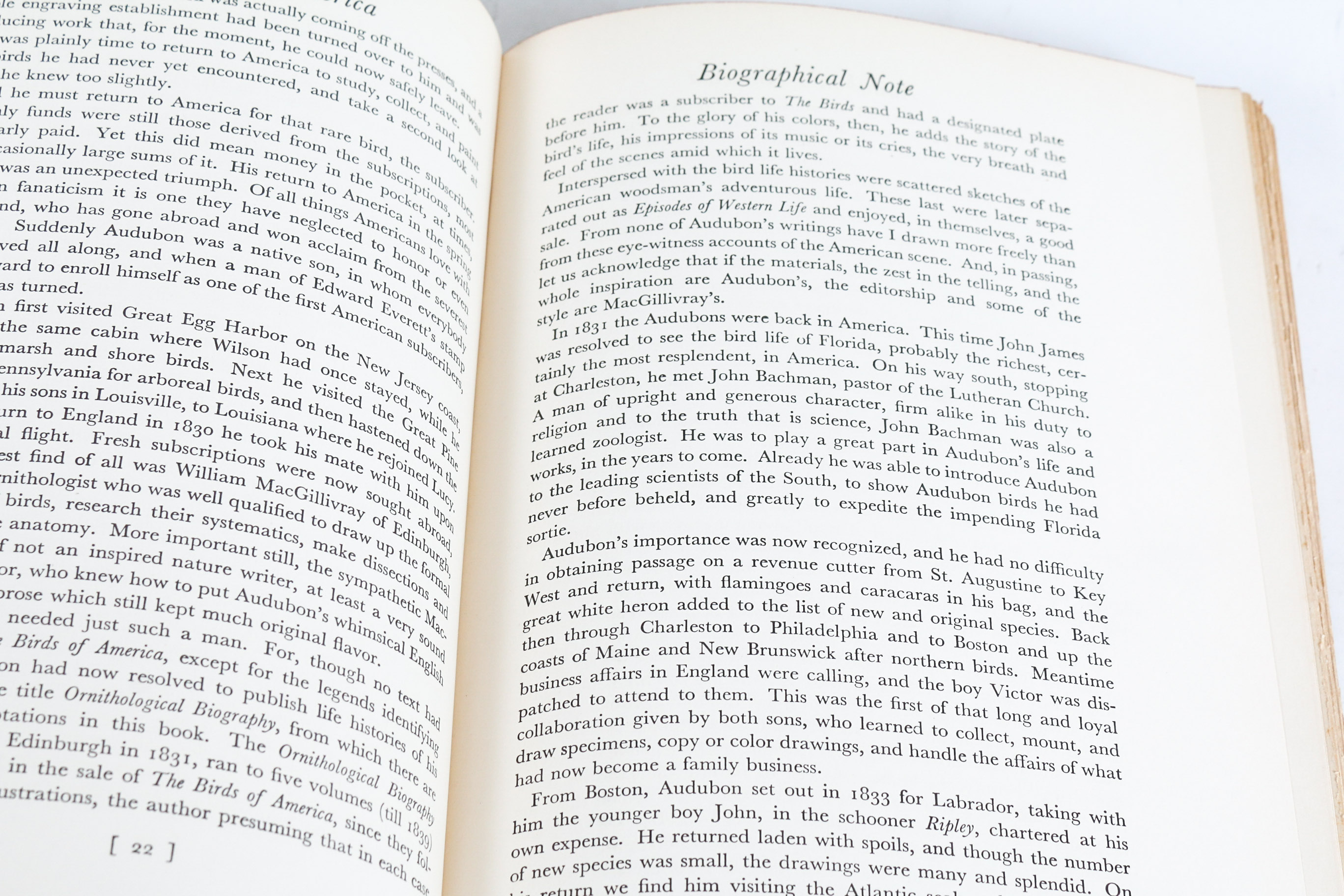 Audobon Bird Print with Book