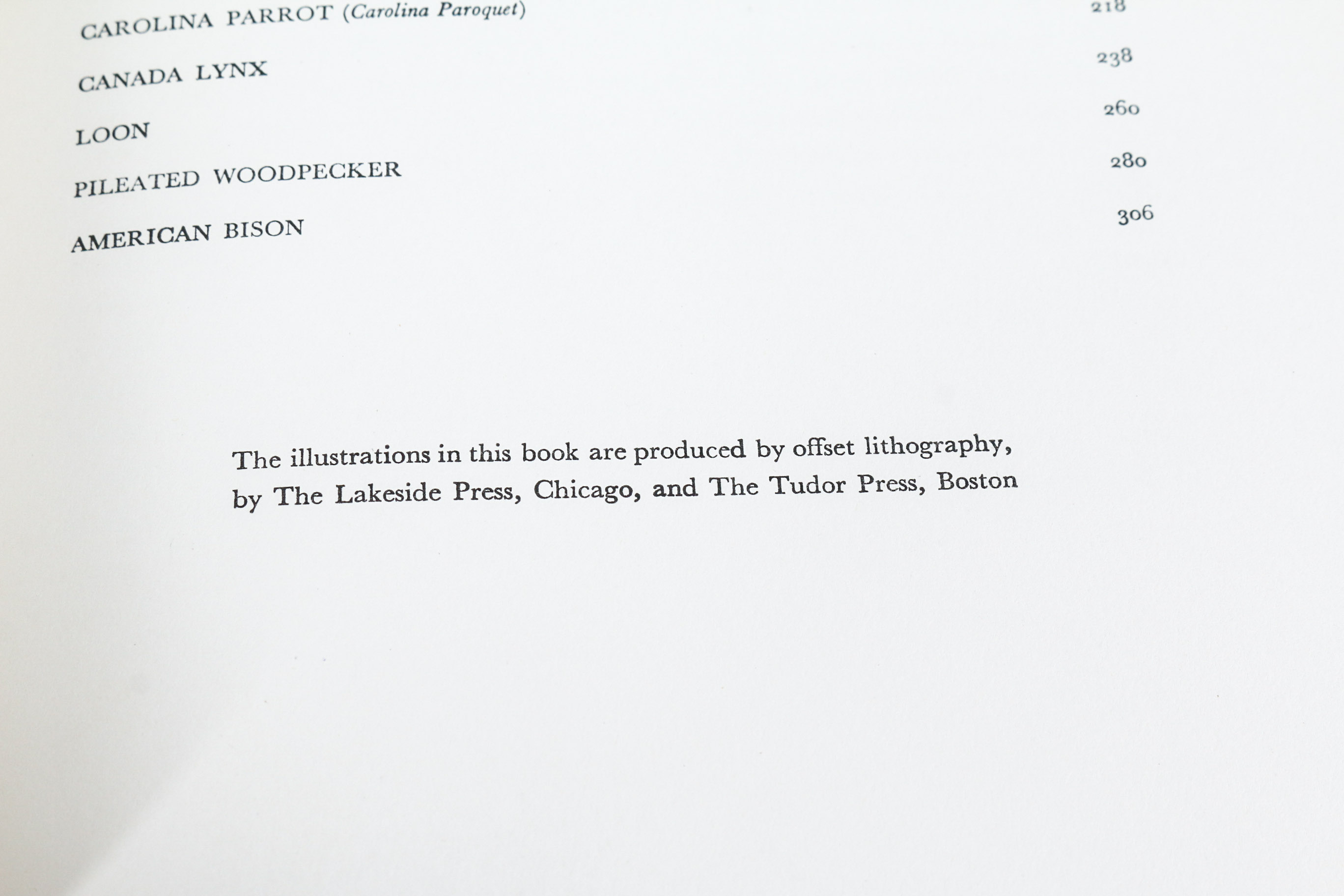 Audobon Bird Print with Book