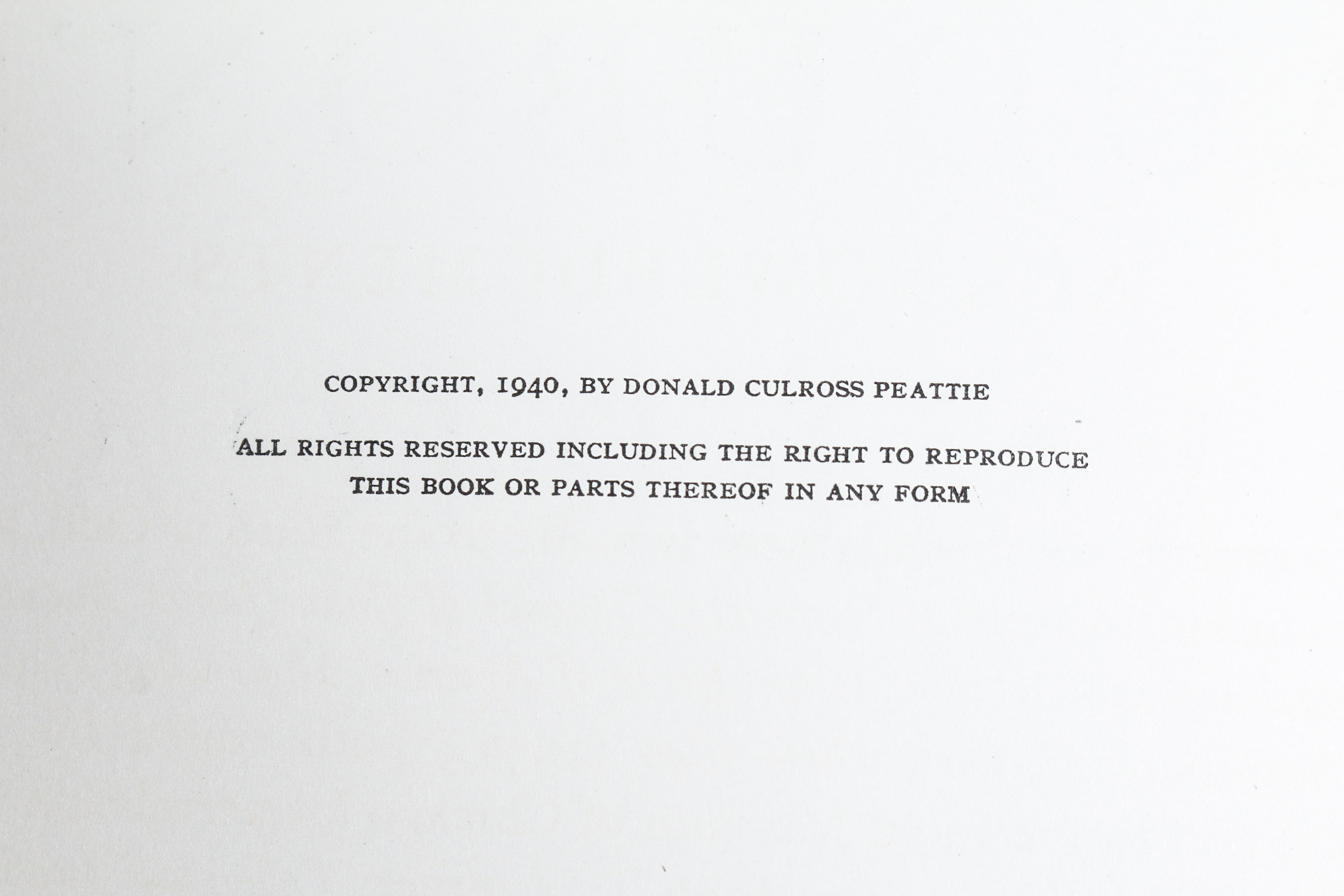 Audobon Bird Print with Book