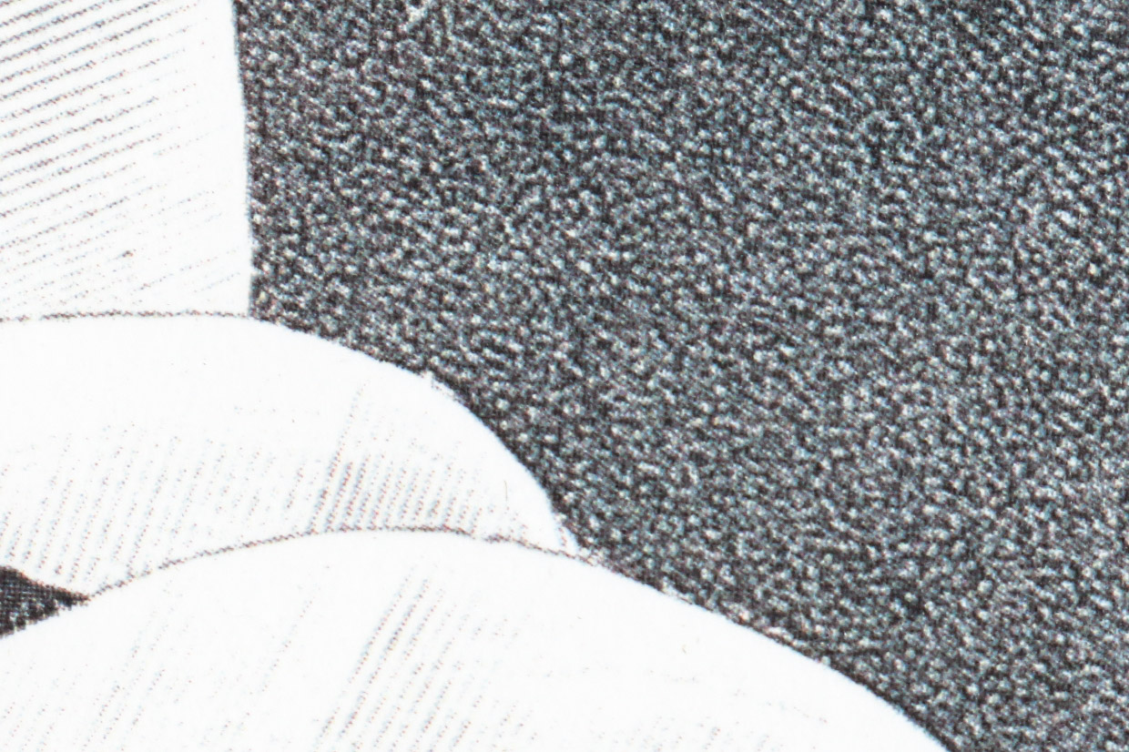 Audobon Bird Print with Book