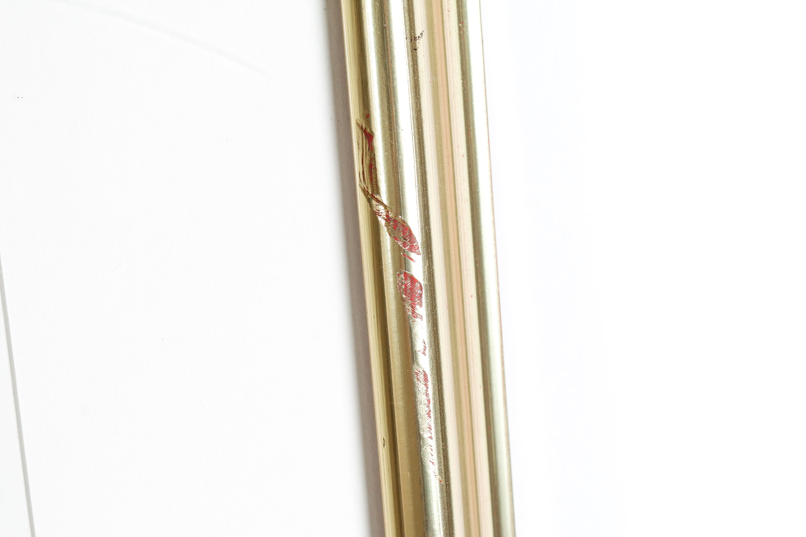 Audobon Bird Print with Book