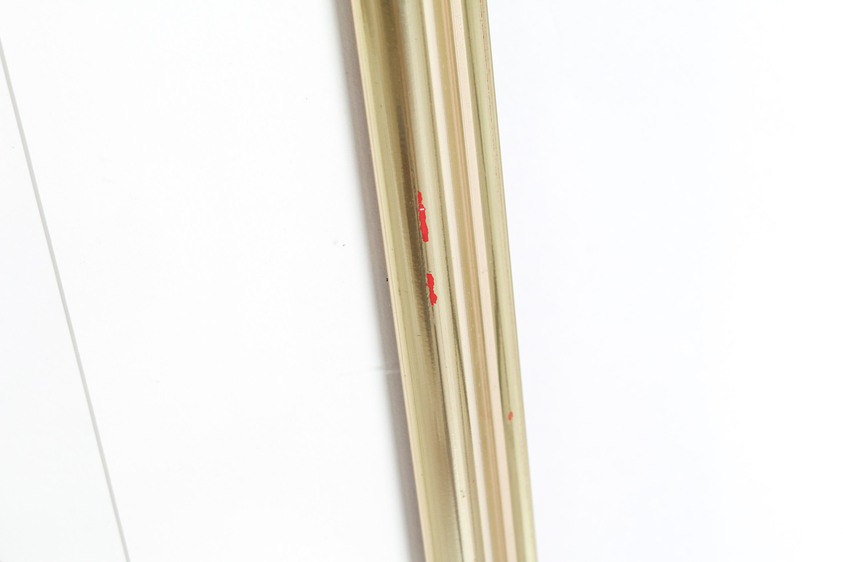 Audobon Bird Print with Book