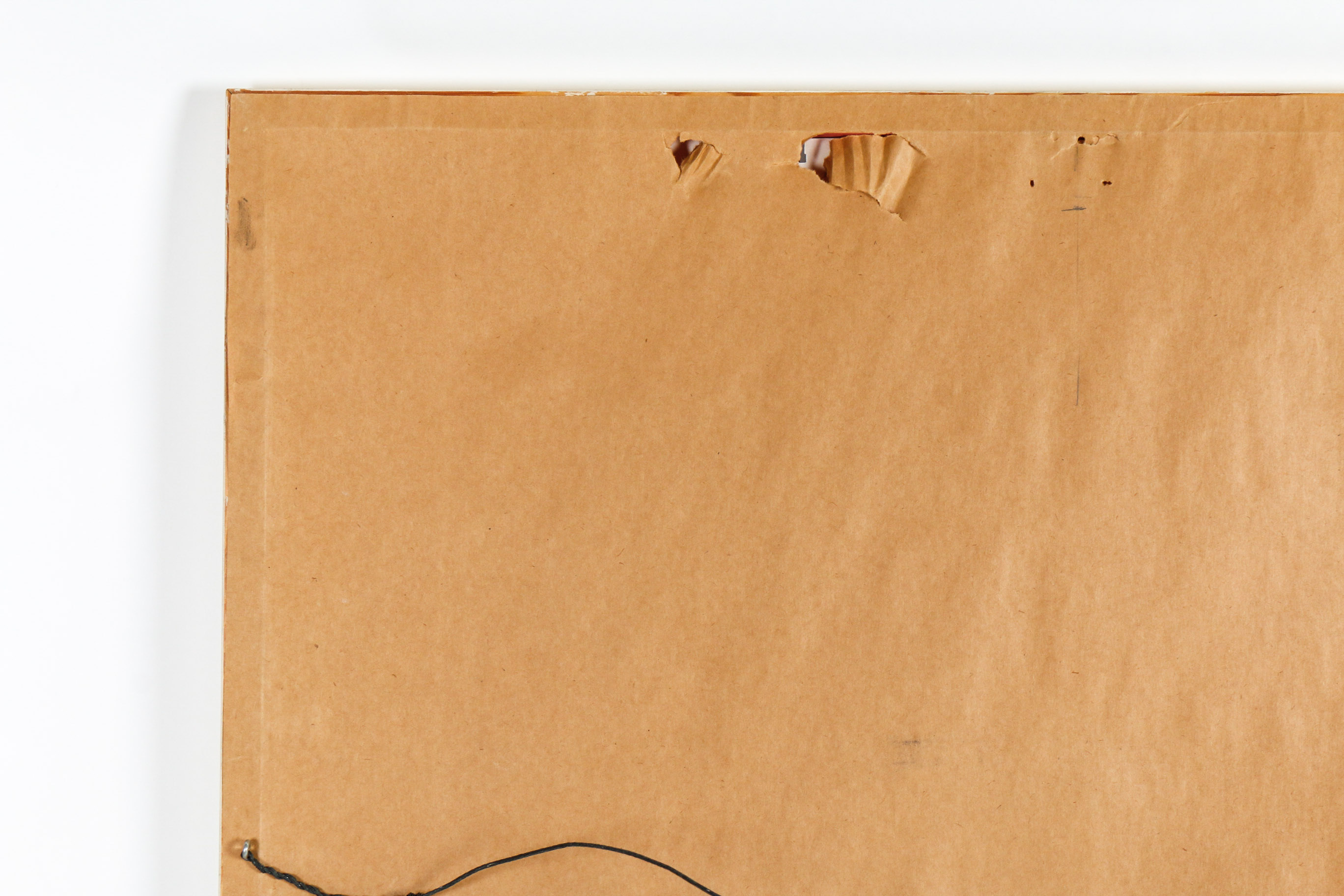 Audobon Bird Print with Book