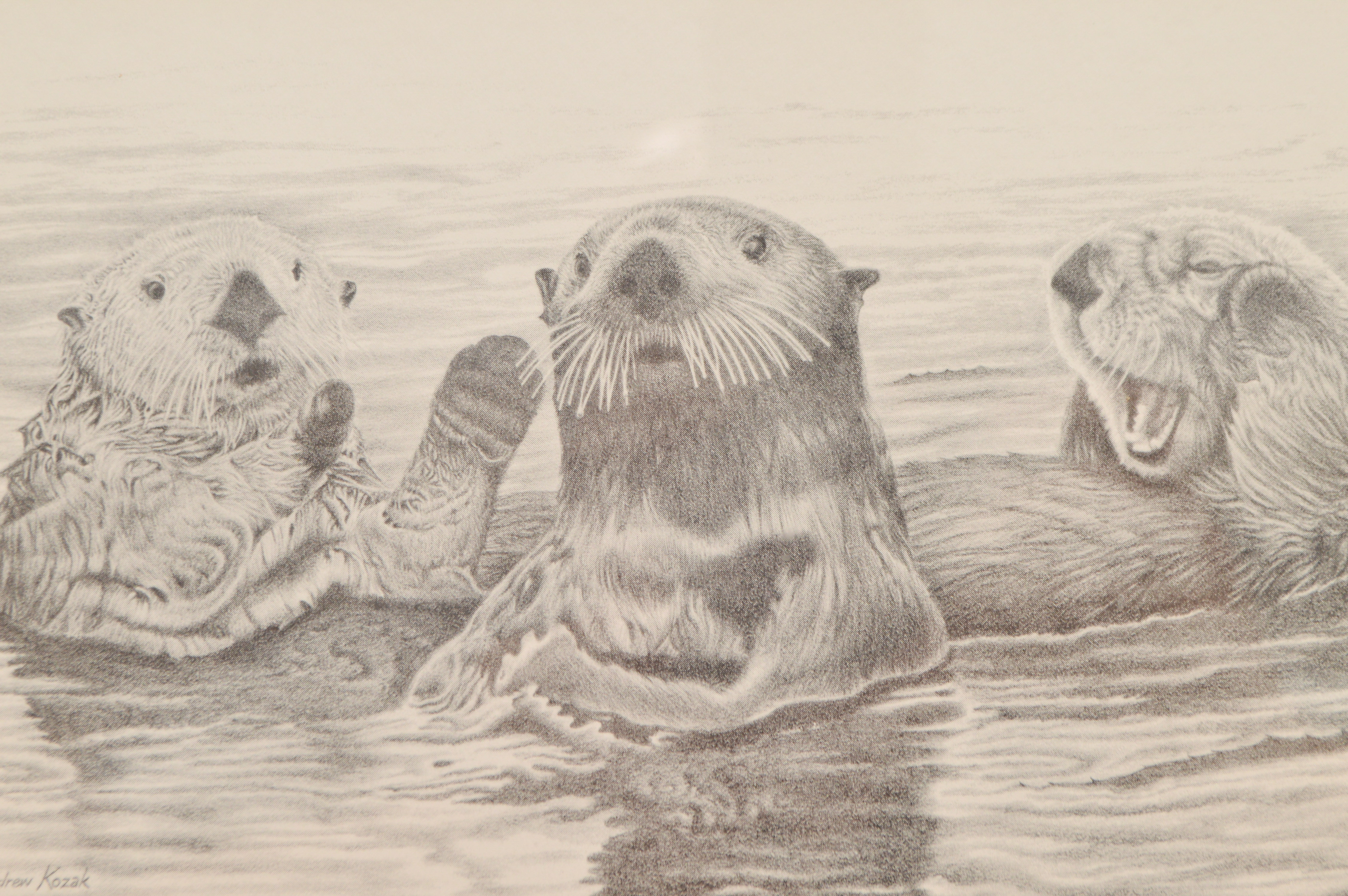 Andrew Kozak Framed Offset Lithographs of Otters