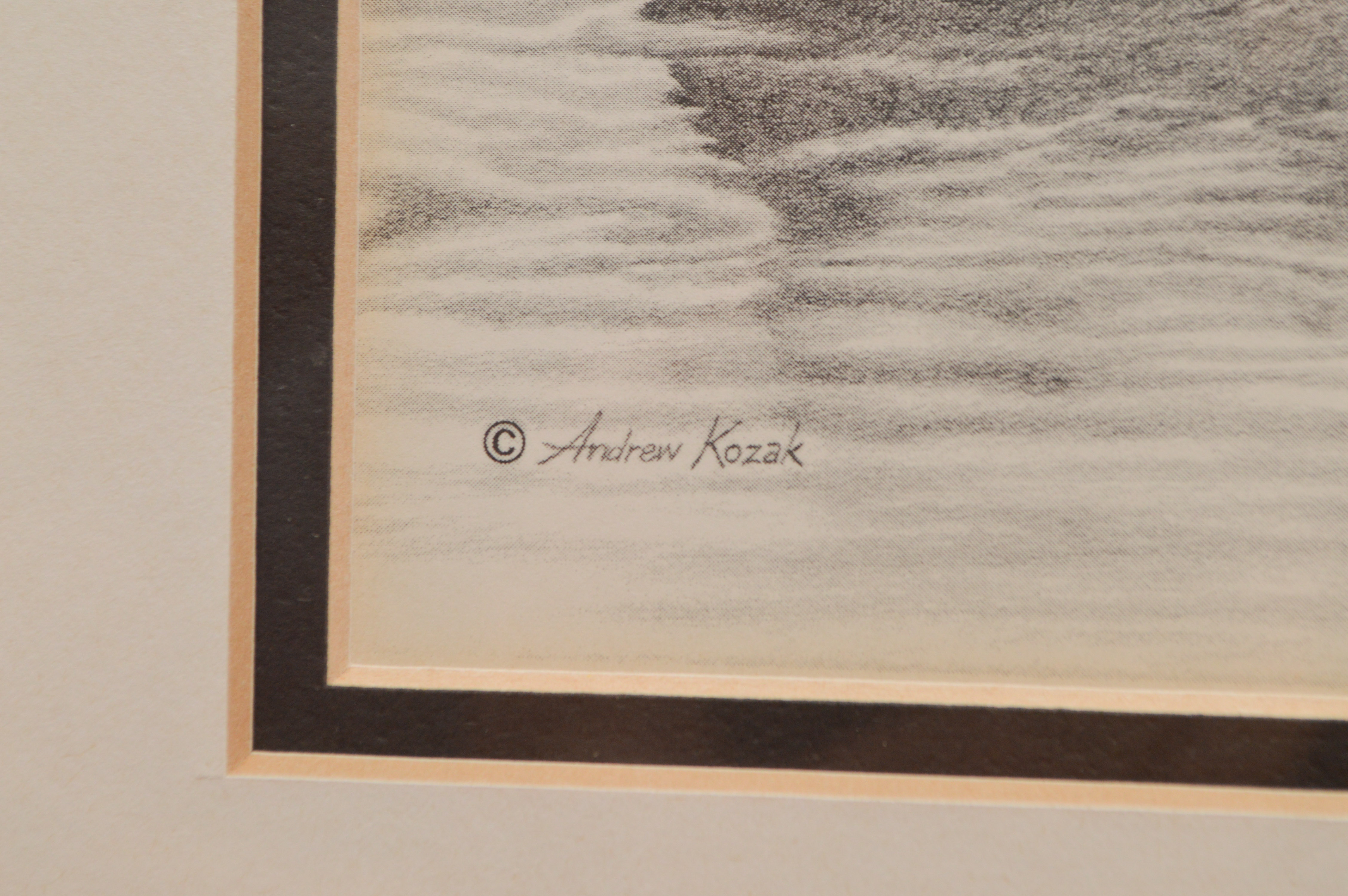 Andrew Kozak Framed Offset Lithographs of Otters