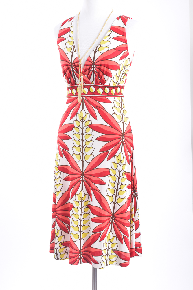 Tony Burch Silk Dress and Necklace