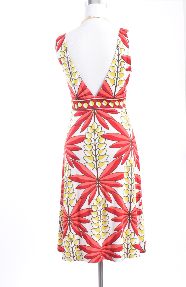 Tony Burch Silk Dress and Necklace