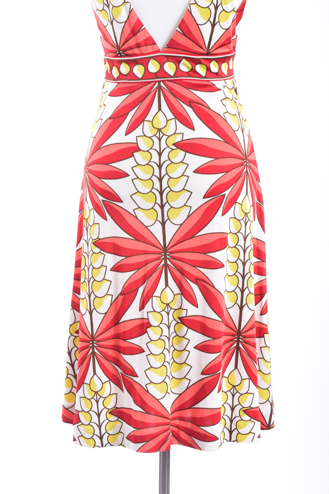 Tony Burch Silk Dress and Necklace