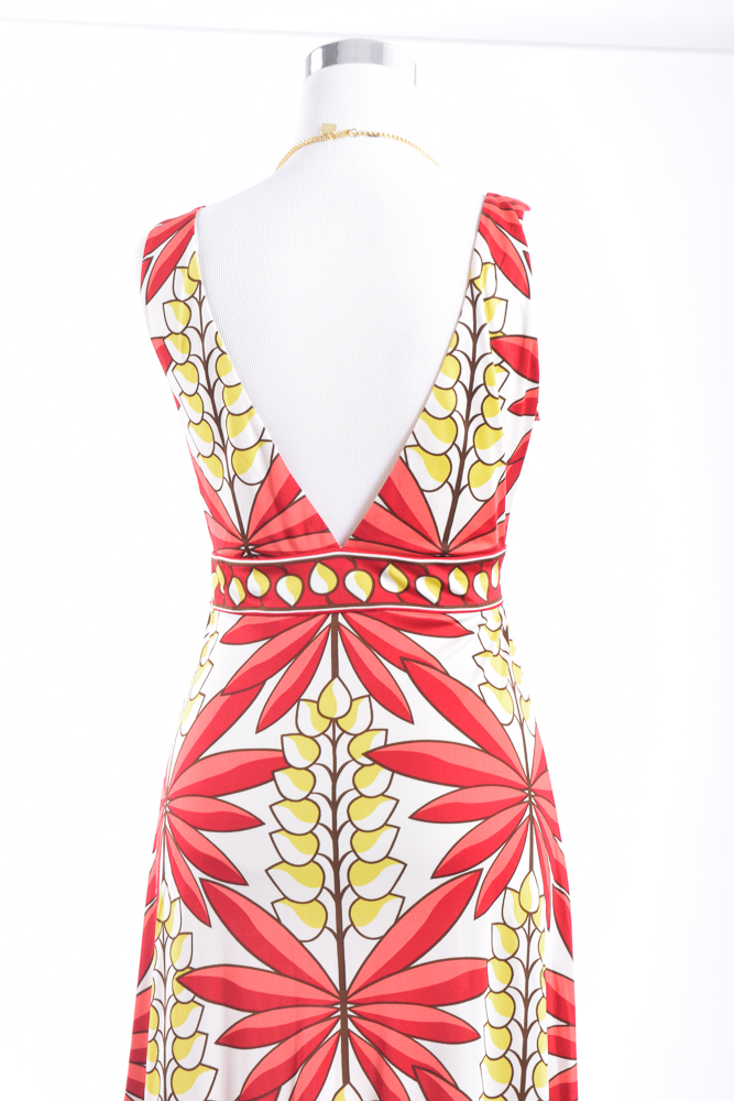 Tony Burch Silk Dress and Necklace