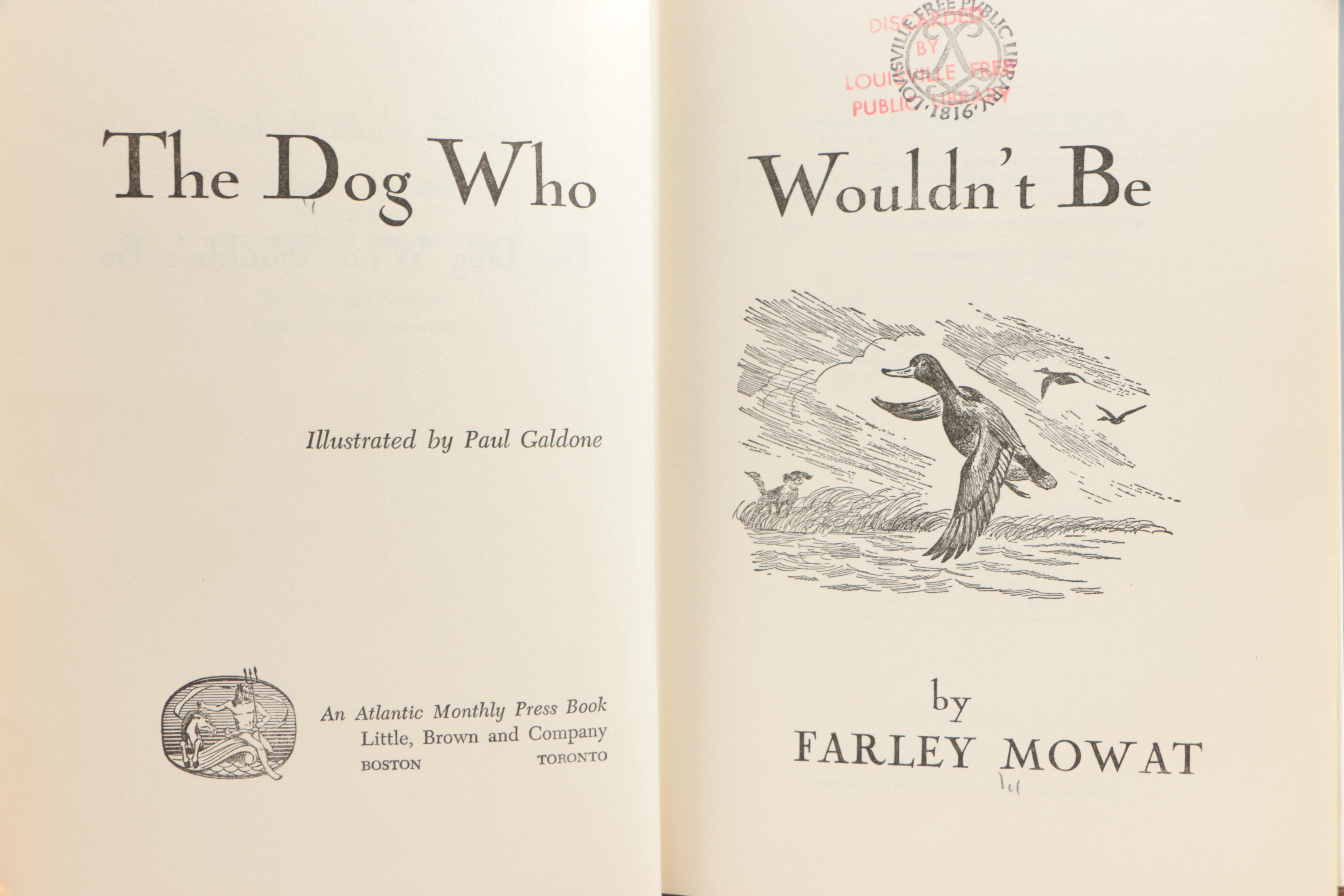 Vintage Book Assortment