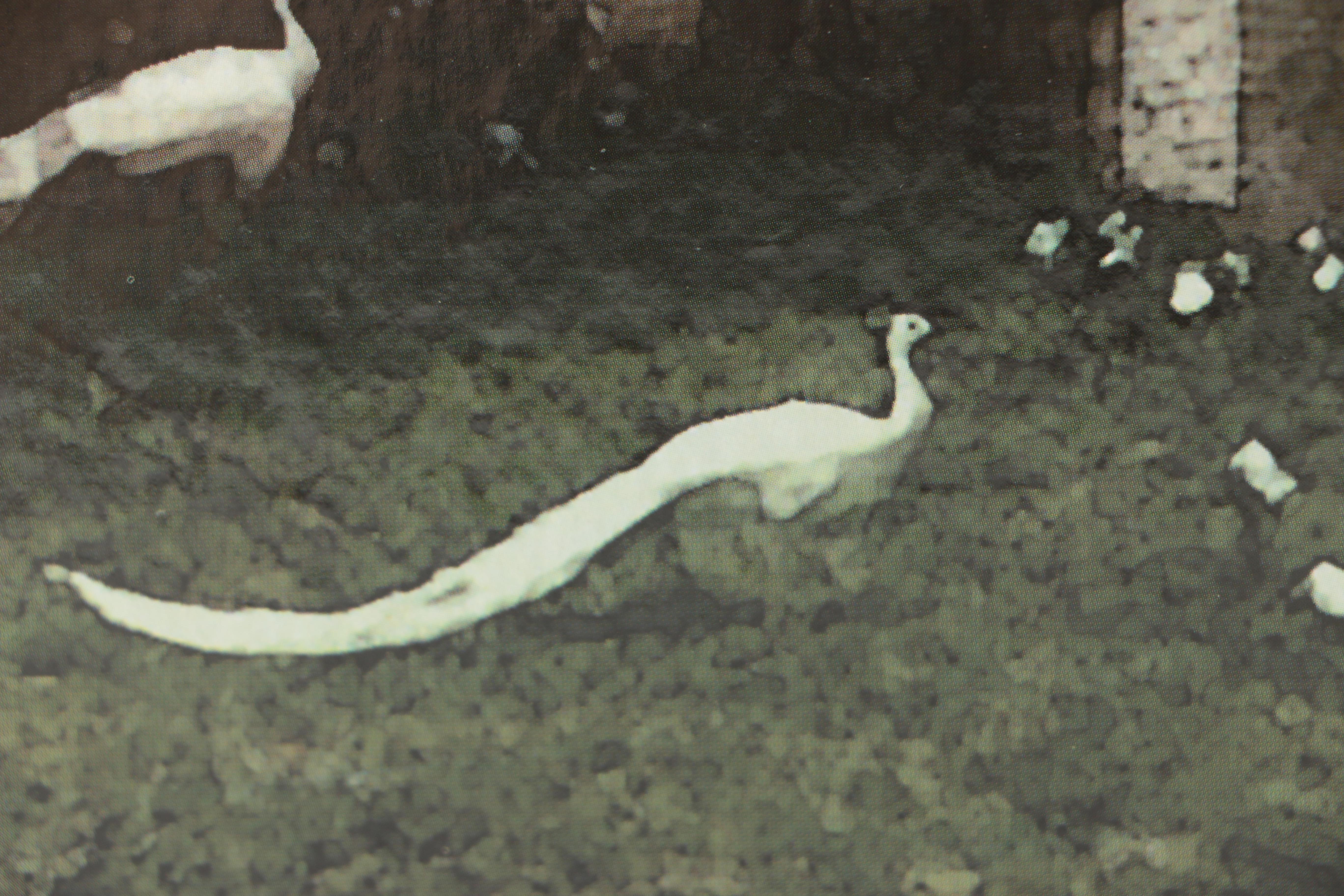 "Gone With the Wind" Promotional Folding Screens