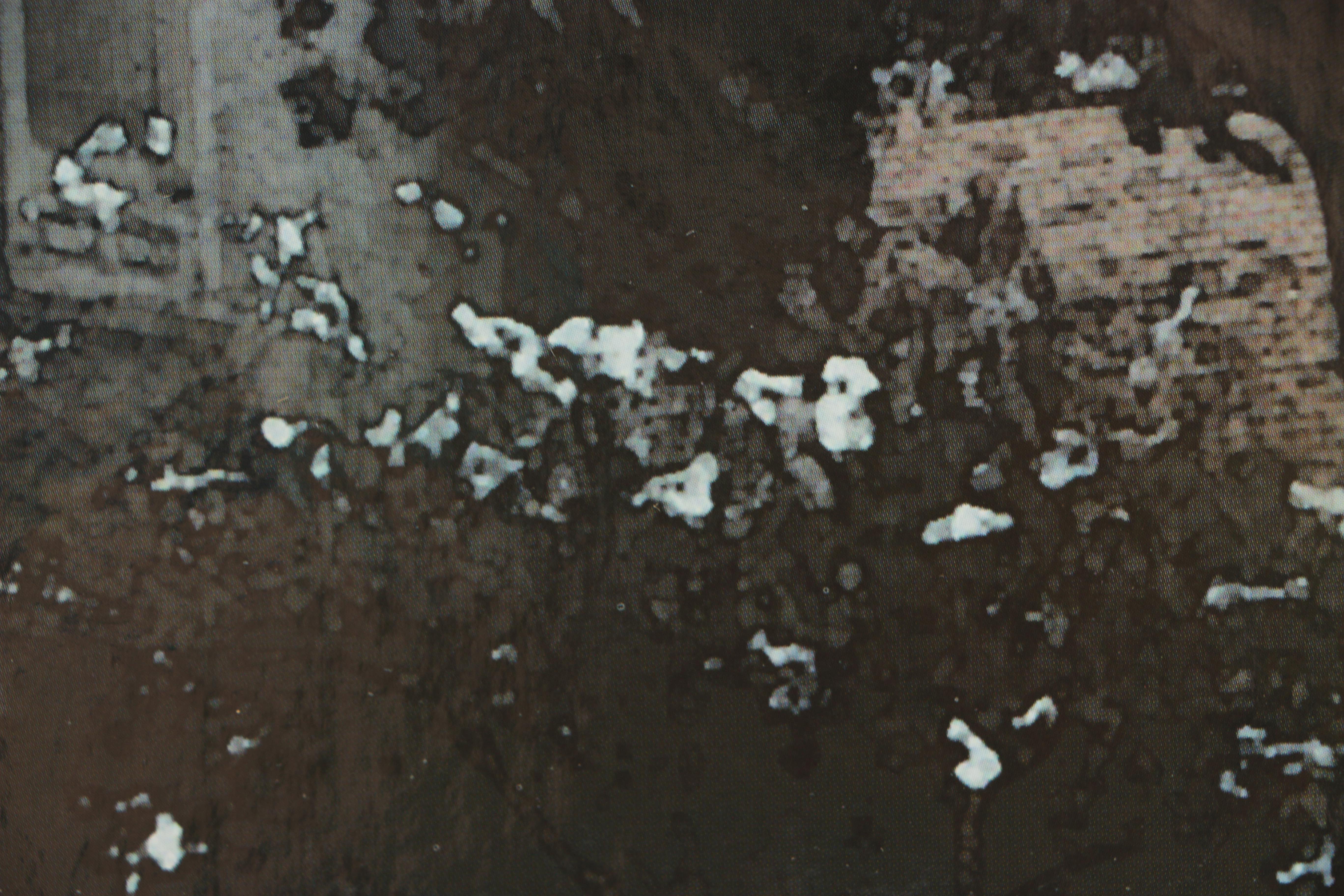 "Gone With the Wind" Promotional Folding Screens