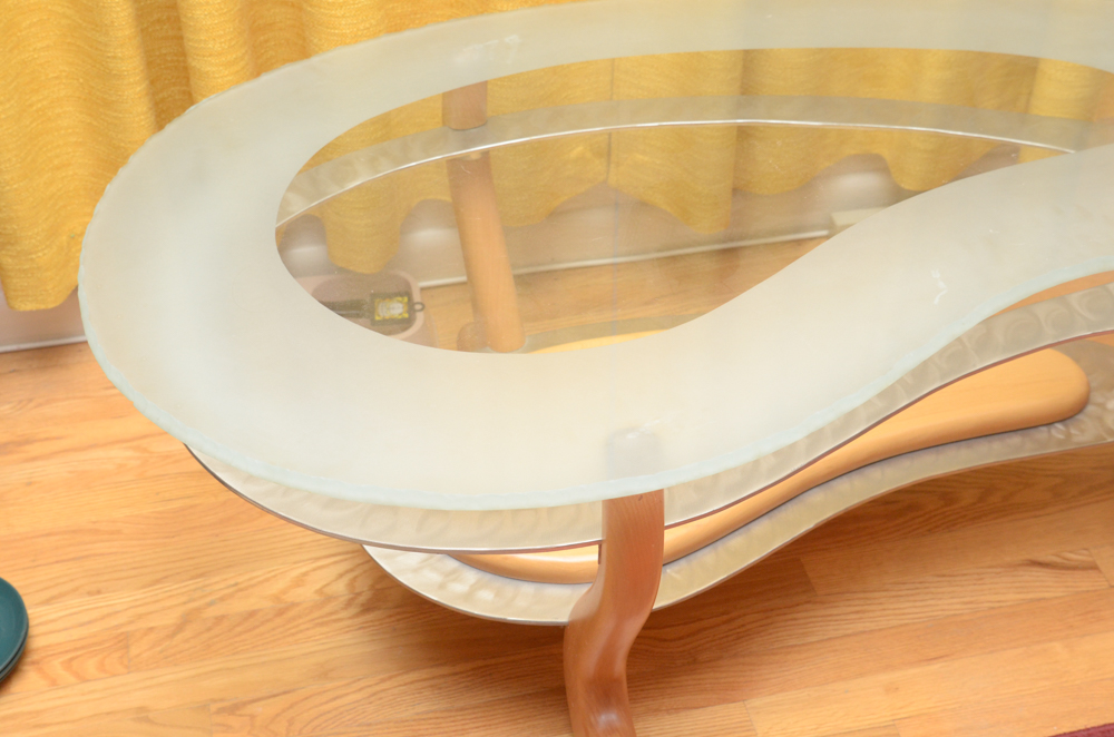Contemporary Modernist Kidney Shaped Glass Coffee Table