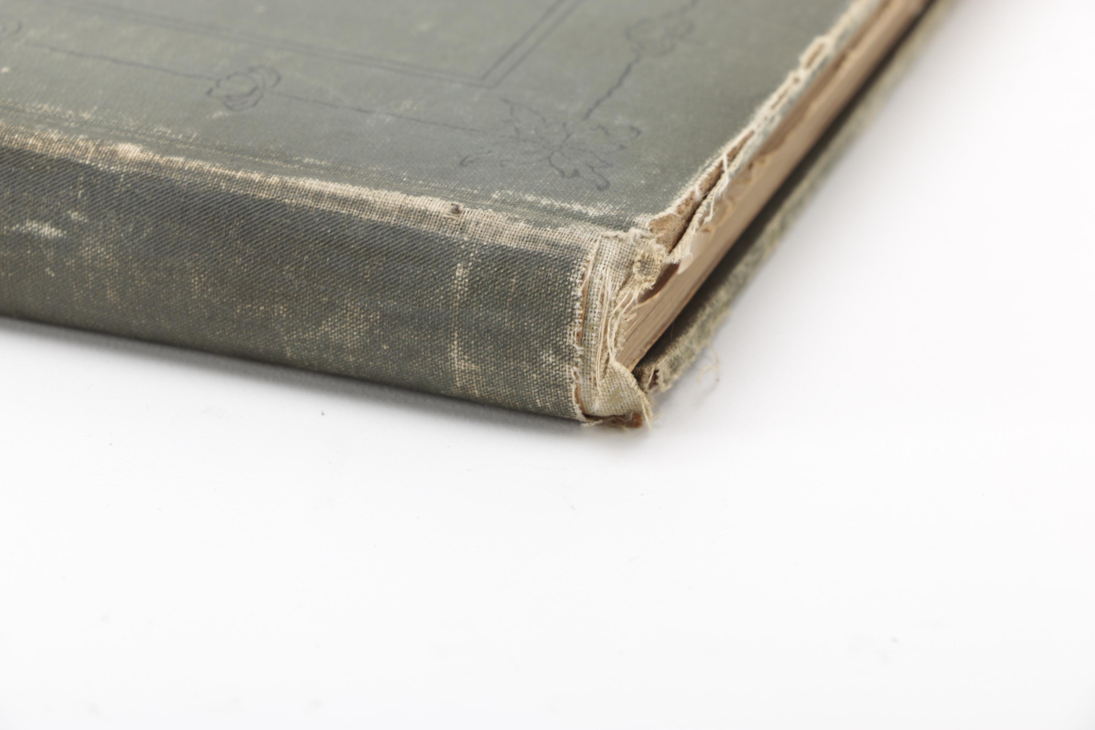 1896 "Illustrated Bloomington and Normal"