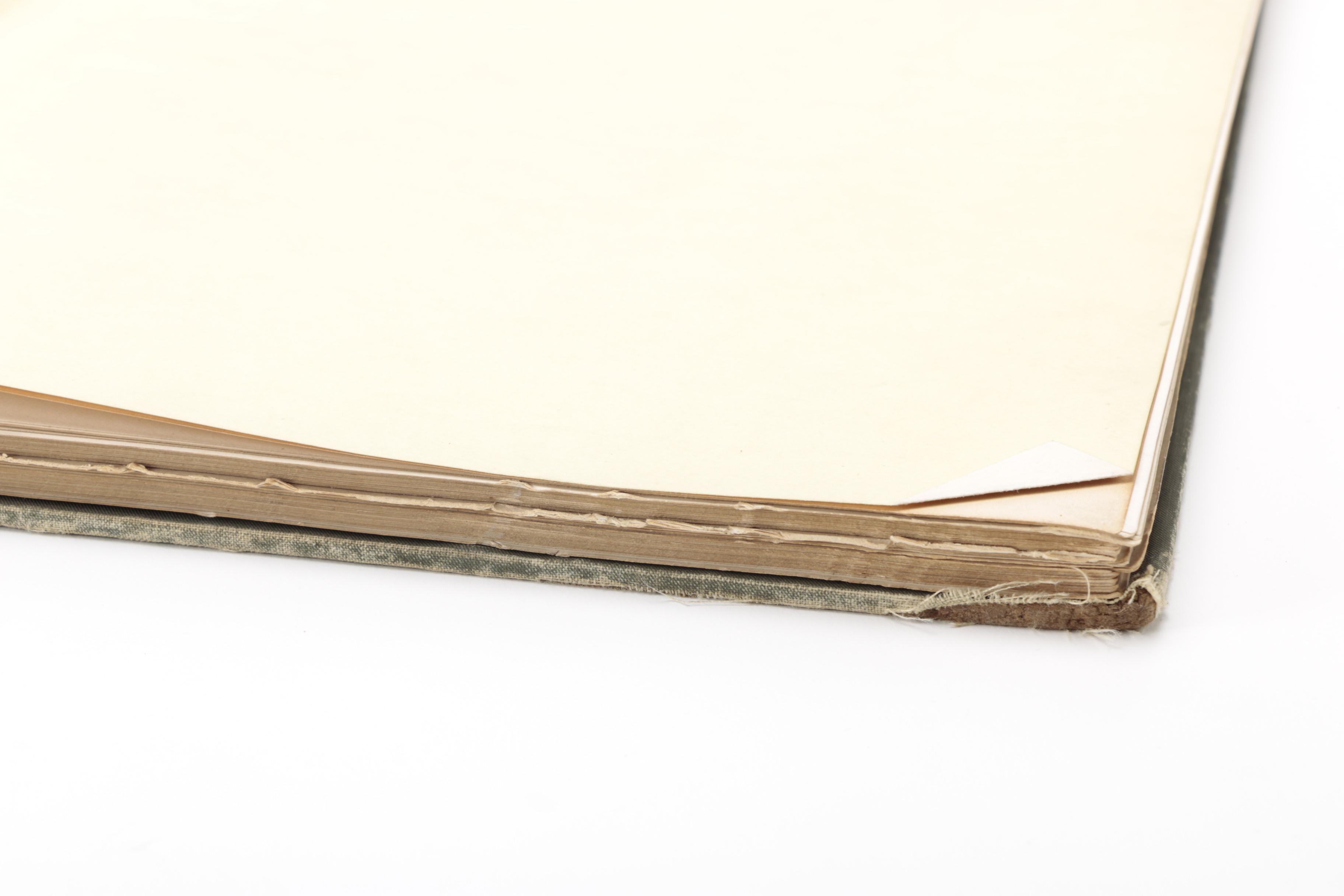 1896 "Illustrated Bloomington and Normal"