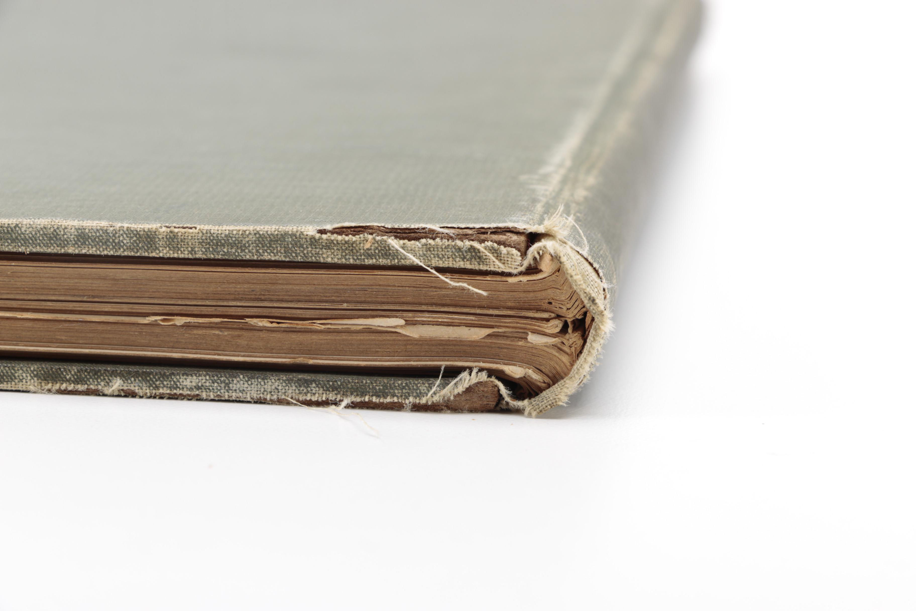 1896 "Illustrated Bloomington and Normal"