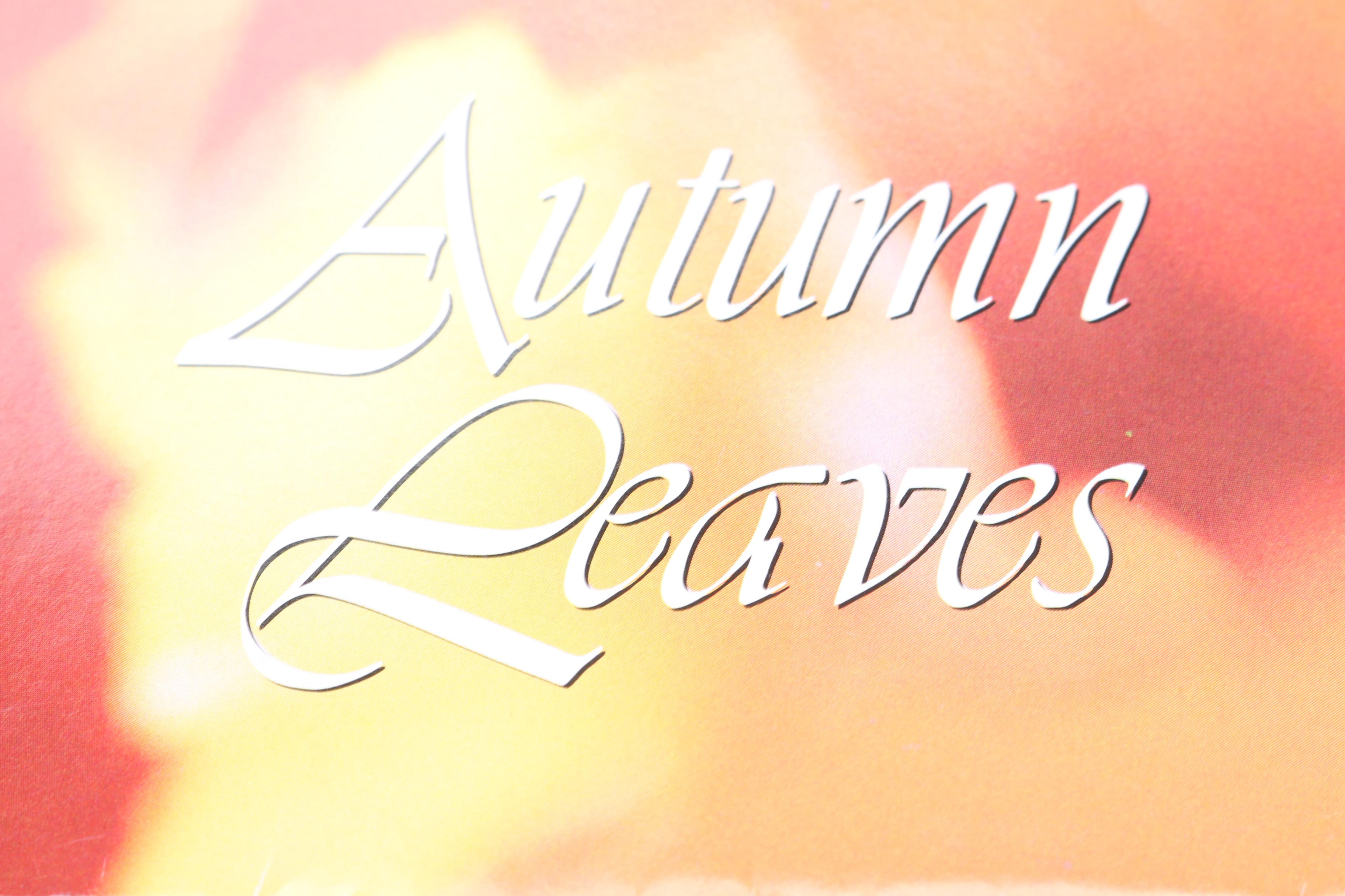 Limited Edition Barbie Dolls