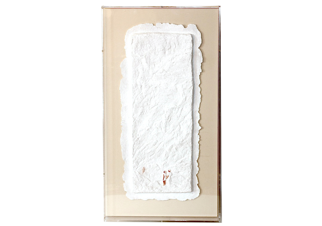 Plaster Relief Wall Art in Acrylic Shadowbox