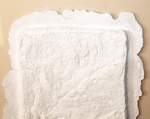 Plaster Relief Wall Art in Acrylic Shadowbox
