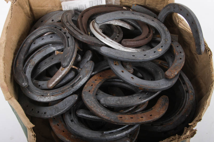 Collection of Iron Horseshoes