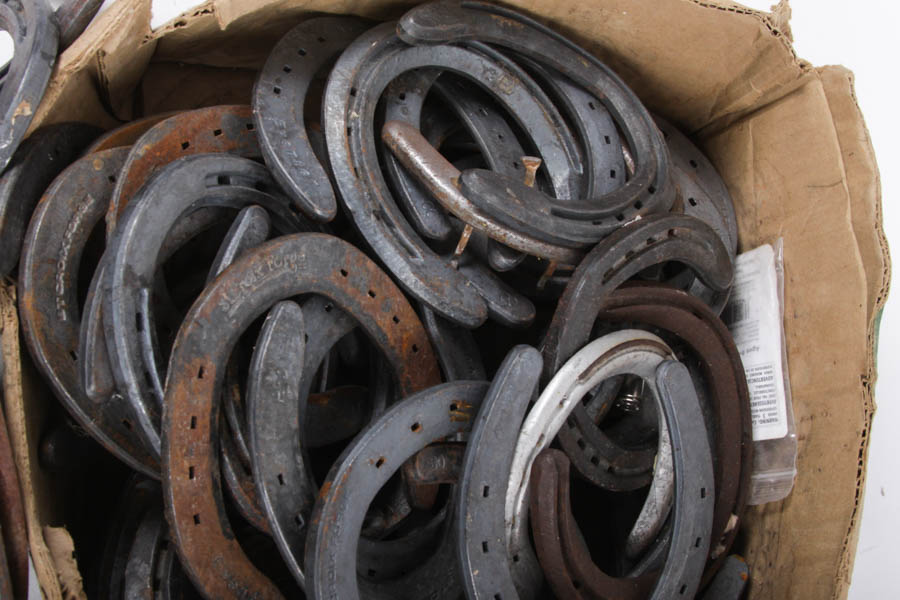 Collection of Iron Horseshoes