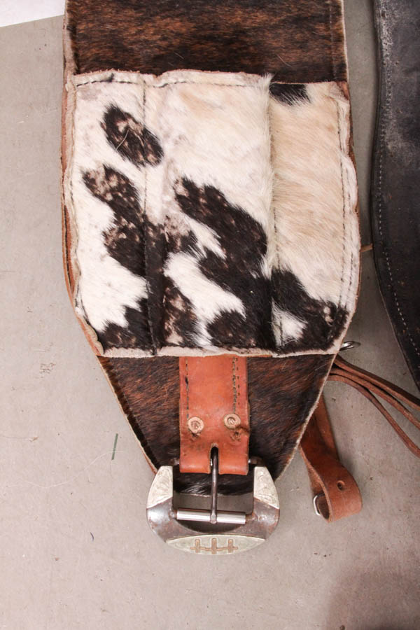 Decorative Horse Cinches