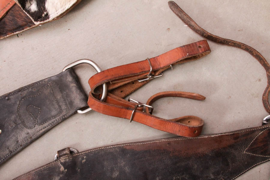 Decorative Horse Cinches