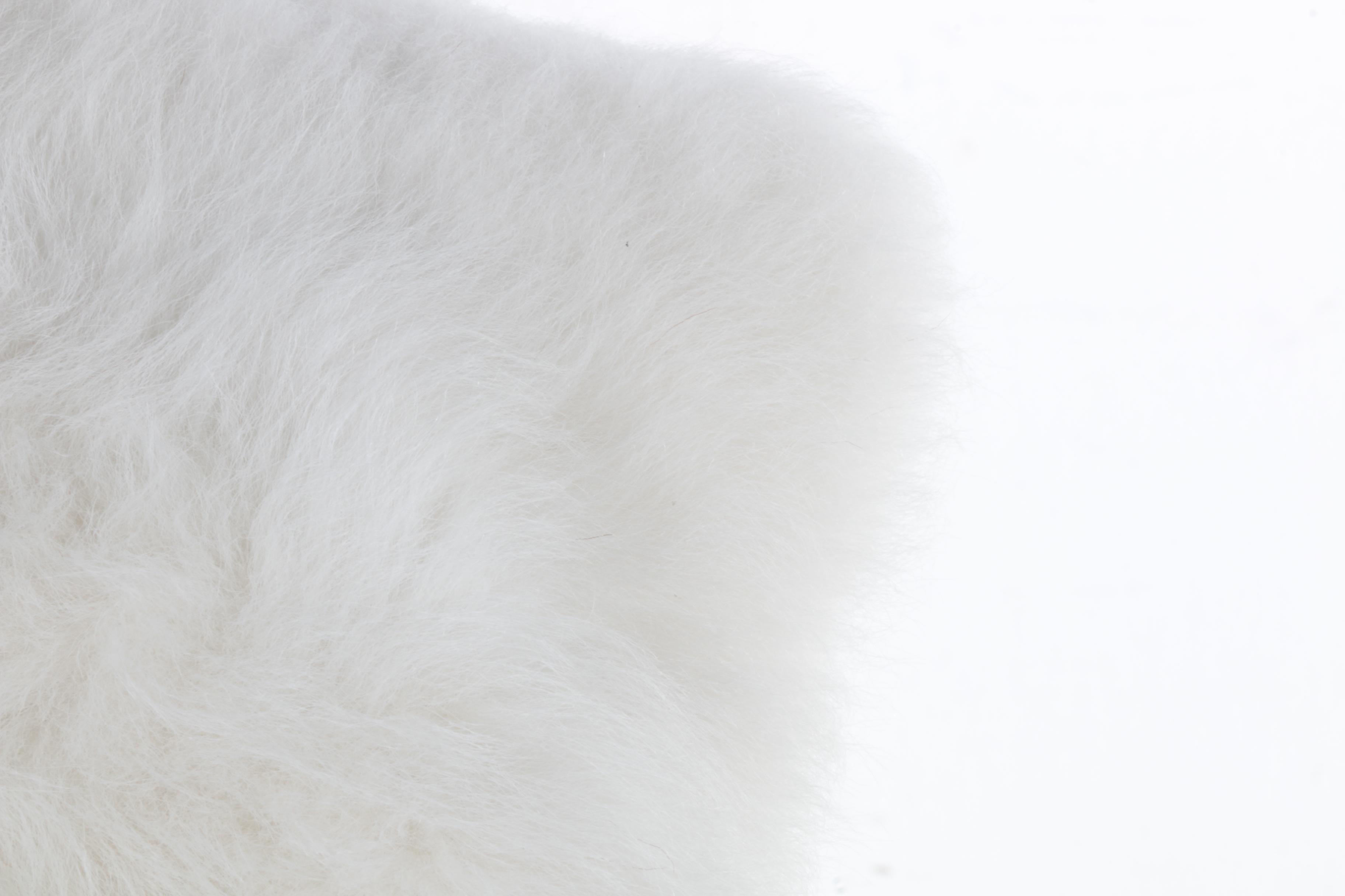 BCBG Maxazria Shearling and Suede Coat