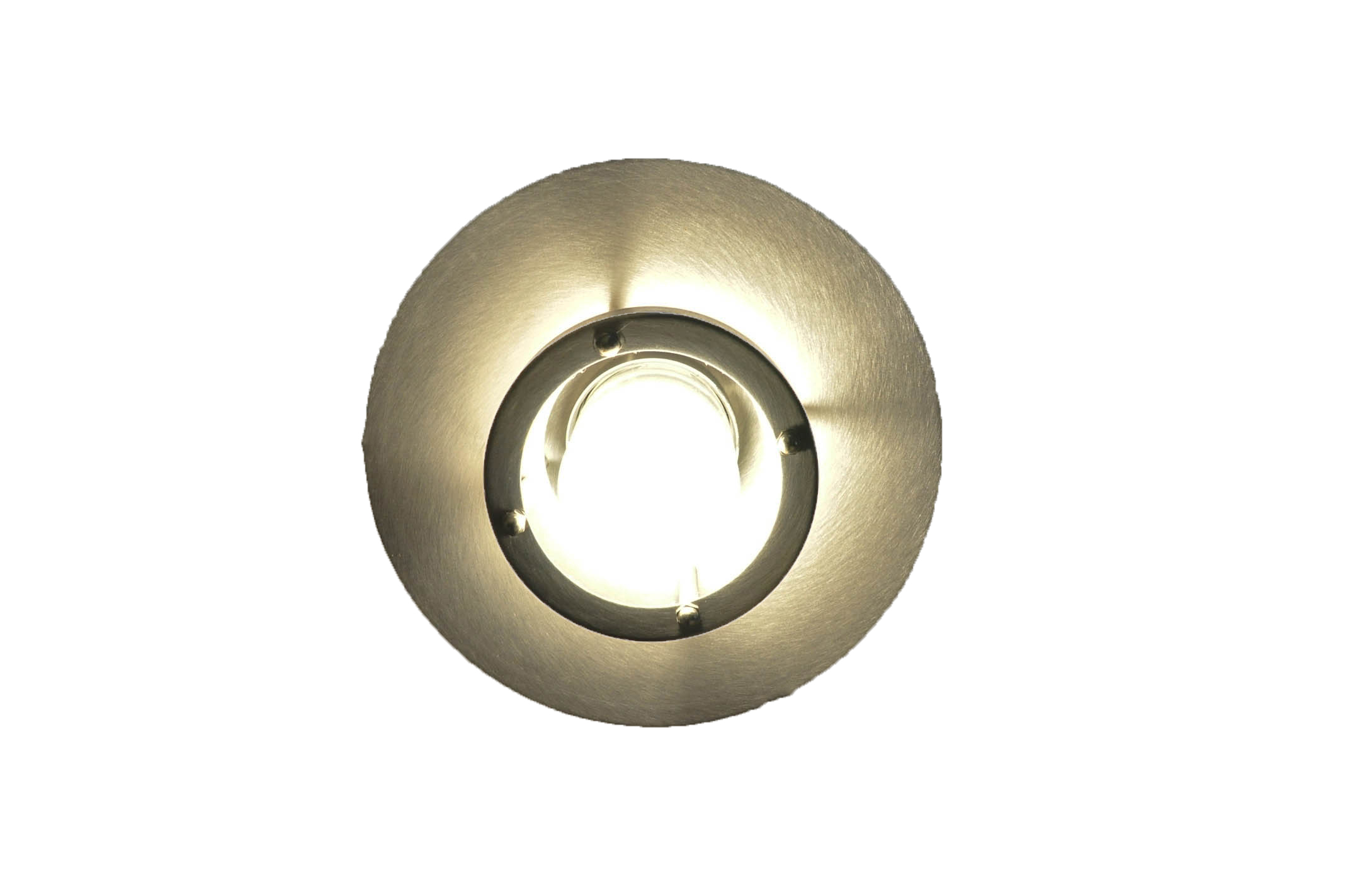 Stainless Steel Ceiling Light