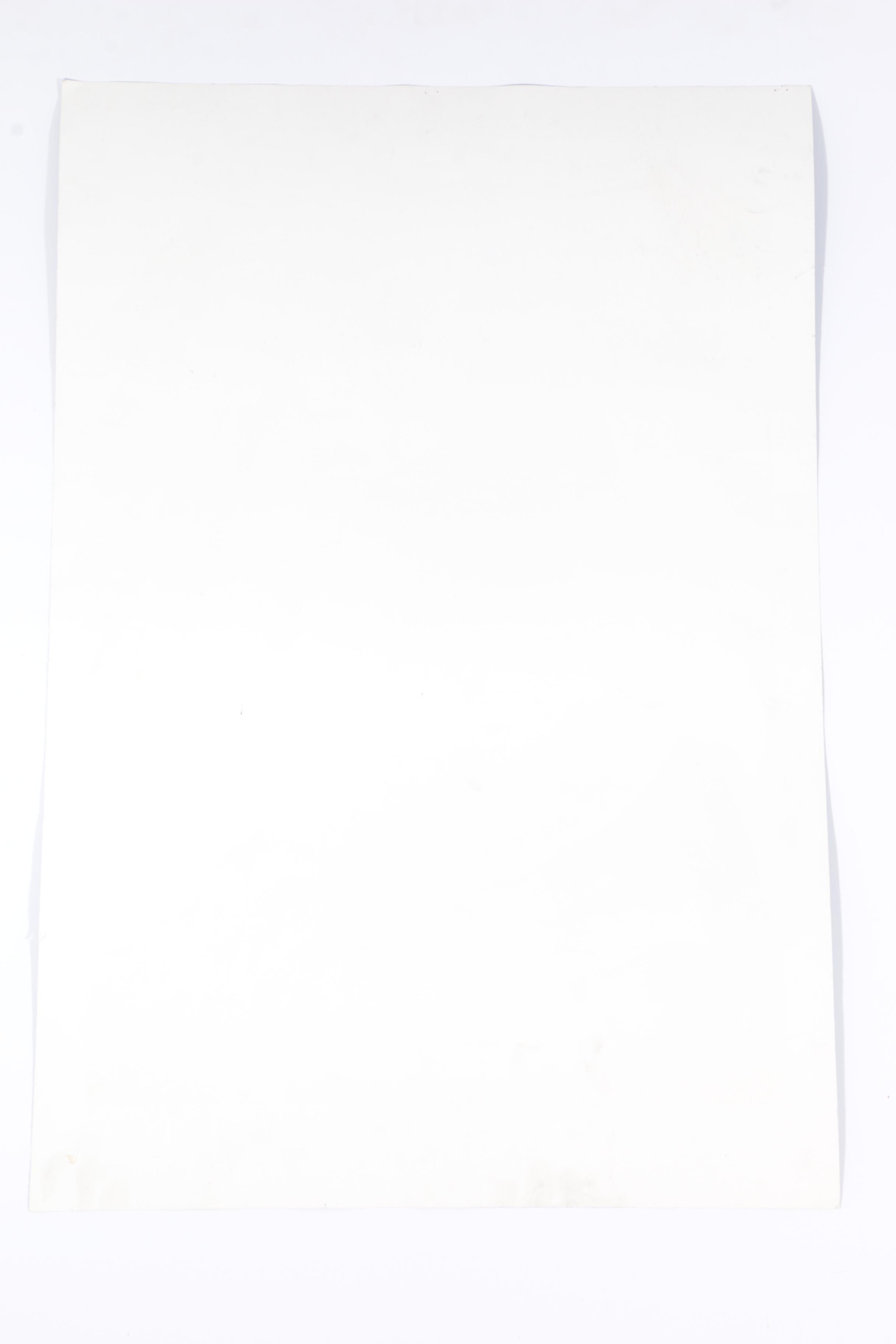 Robert Hoppe Limited Edition Poster for "A Chorus Line: The Movie" and Vintage Broadway Programs