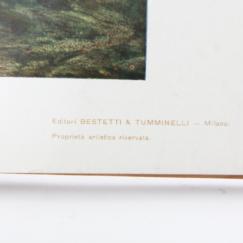 Collection of Vintage Lithographic Plates from Italian Modelli D'Arte Decorativa  Portfolio Series