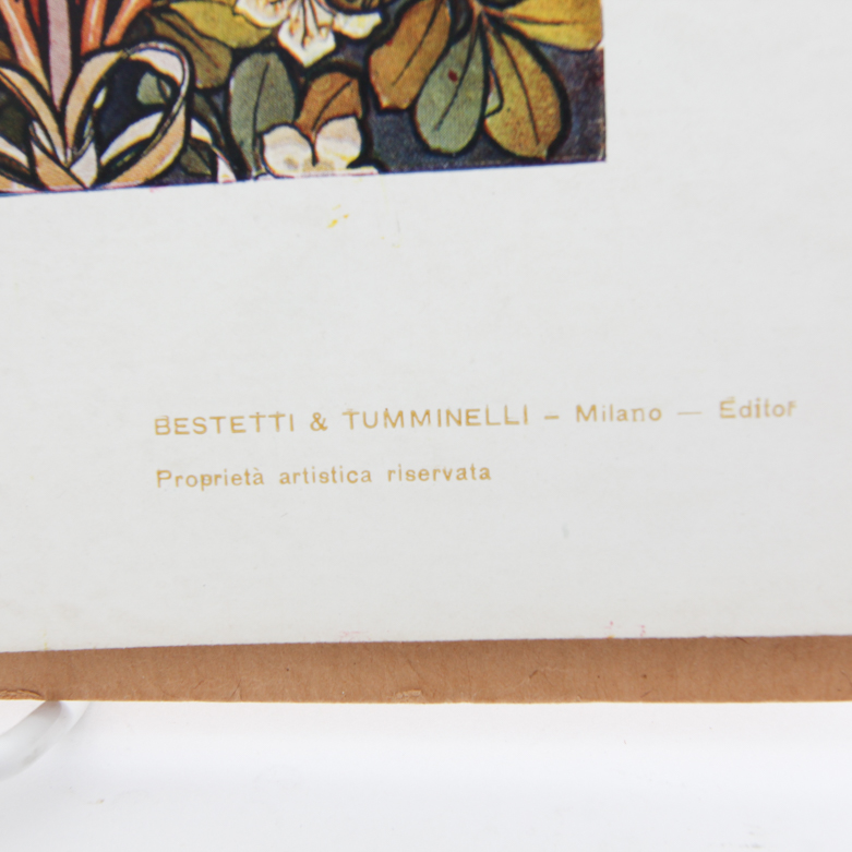 Collection of Vintage Lithographic Plates from Italian Modelli D'Arte Decorativa  Portfolio Series