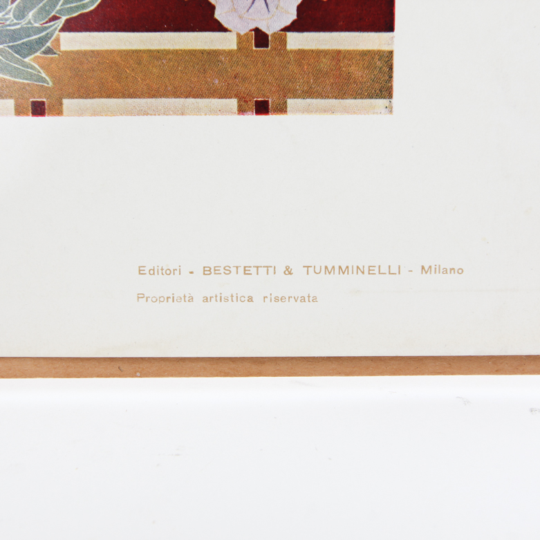 Collection of Vintage Lithographic Plates from Italian Modelli D'Arte Decorativa  Portfolio Series