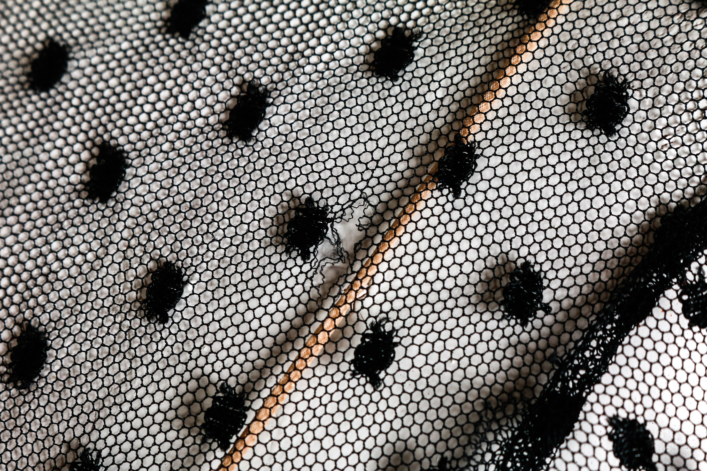 Vintage Bill Blass Lace Dress