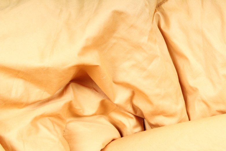 HiEnd Accents King Size Comforter