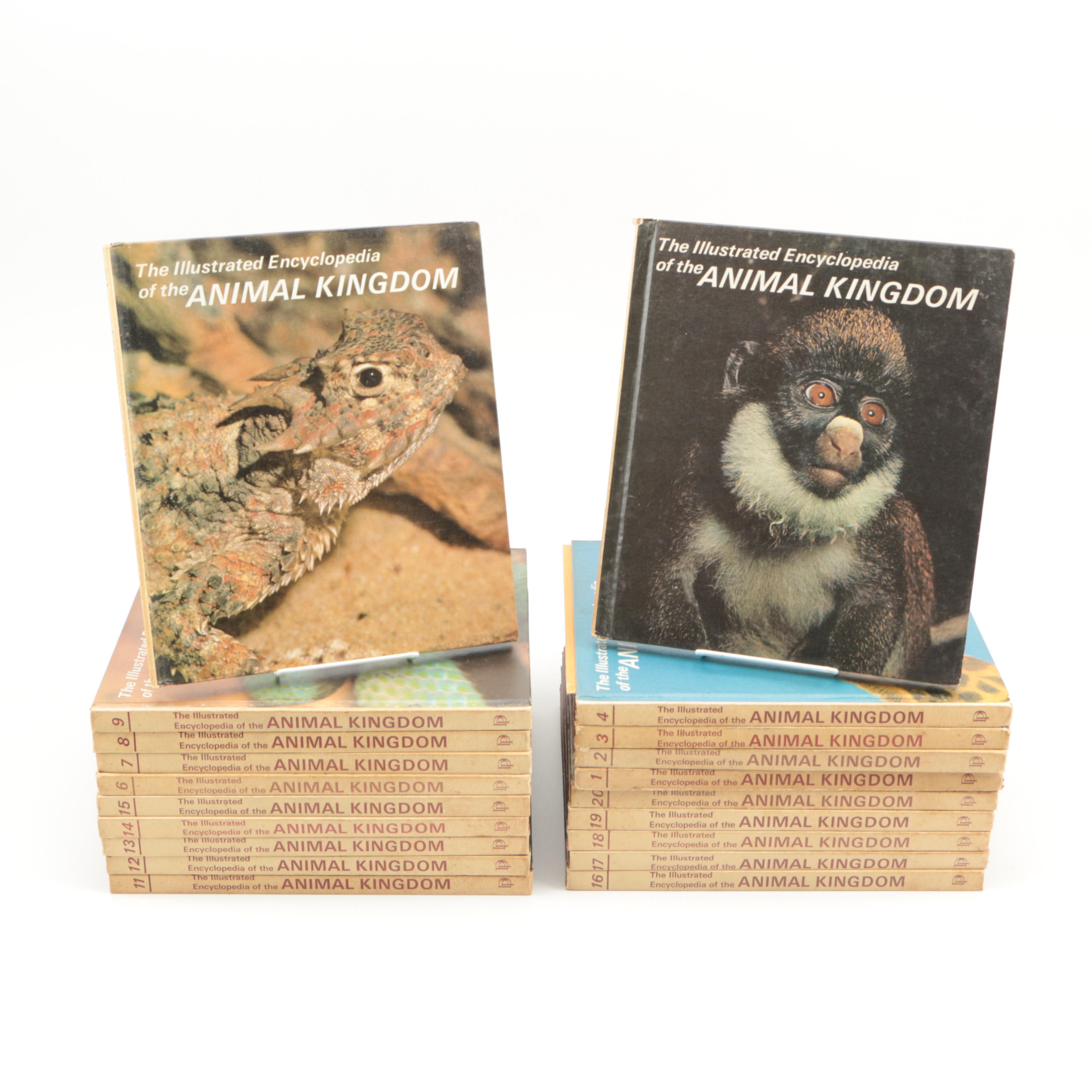 Collection of "The Illustrated Encyclopedia of the Animal Kingdom" Books