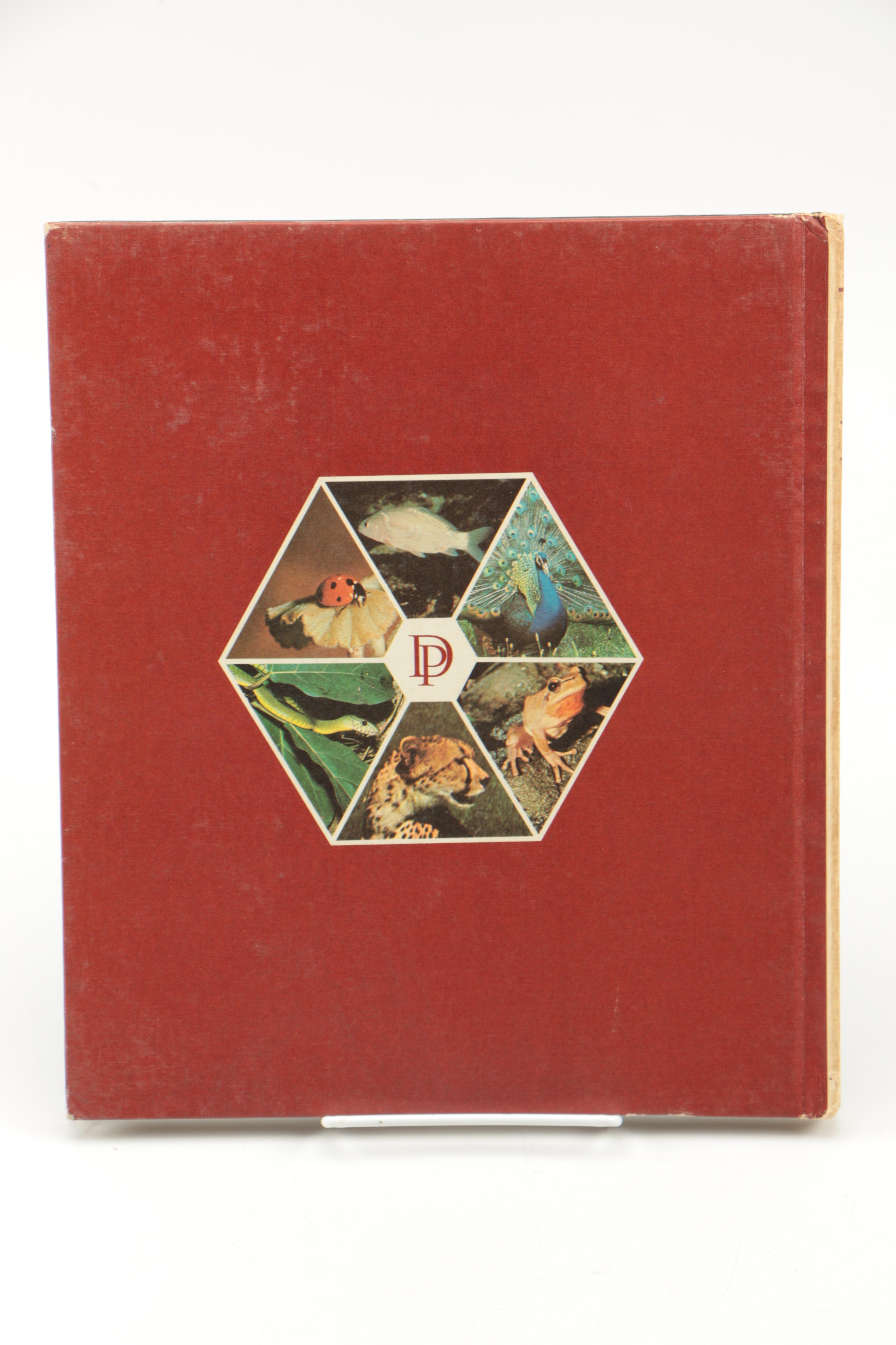 Collection of "The Illustrated Encyclopedia of the Animal Kingdom" Books